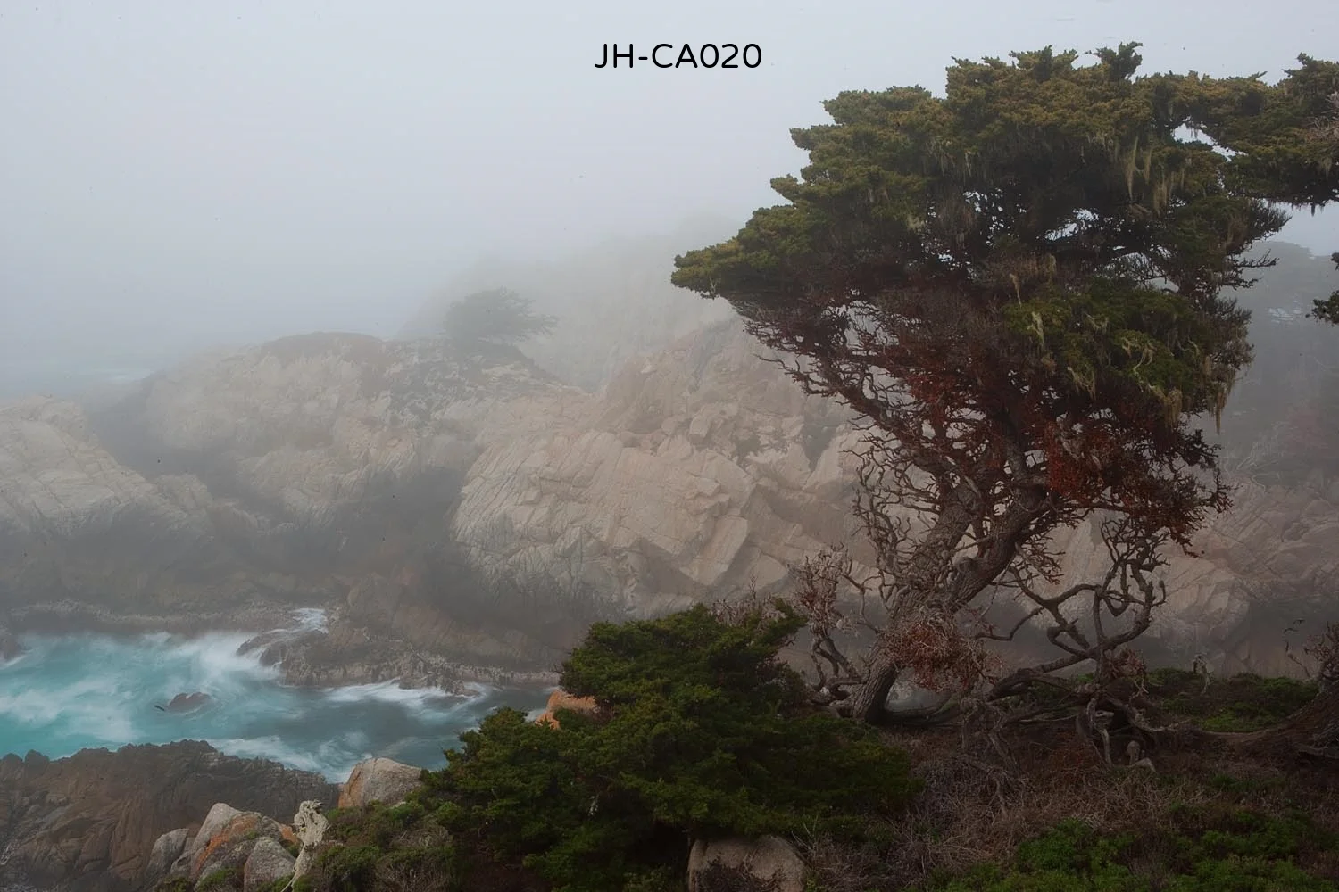 _C3D2772 as Smart Object-1.jpg