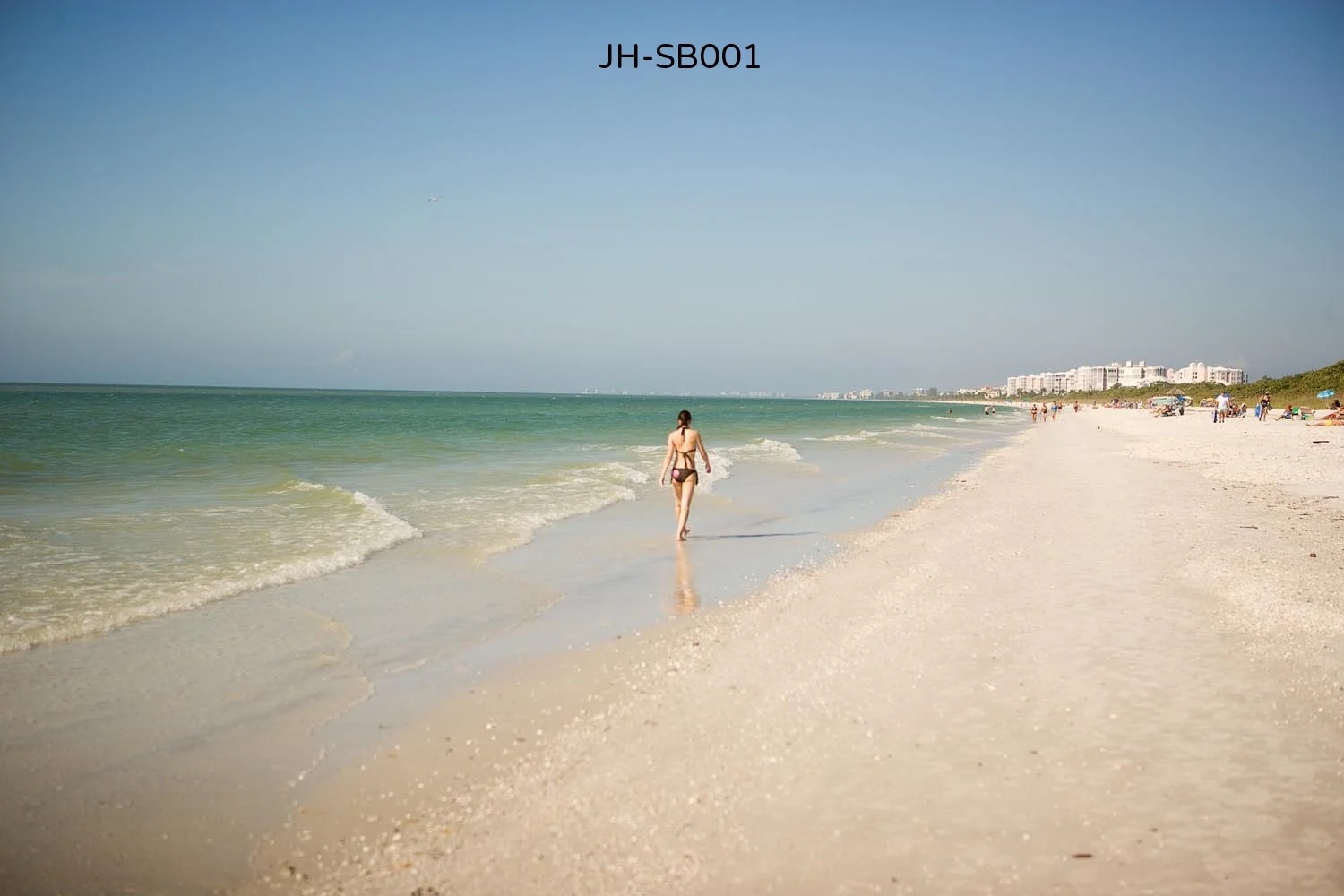 _AC3D3886 as Smart Object-1.jpg