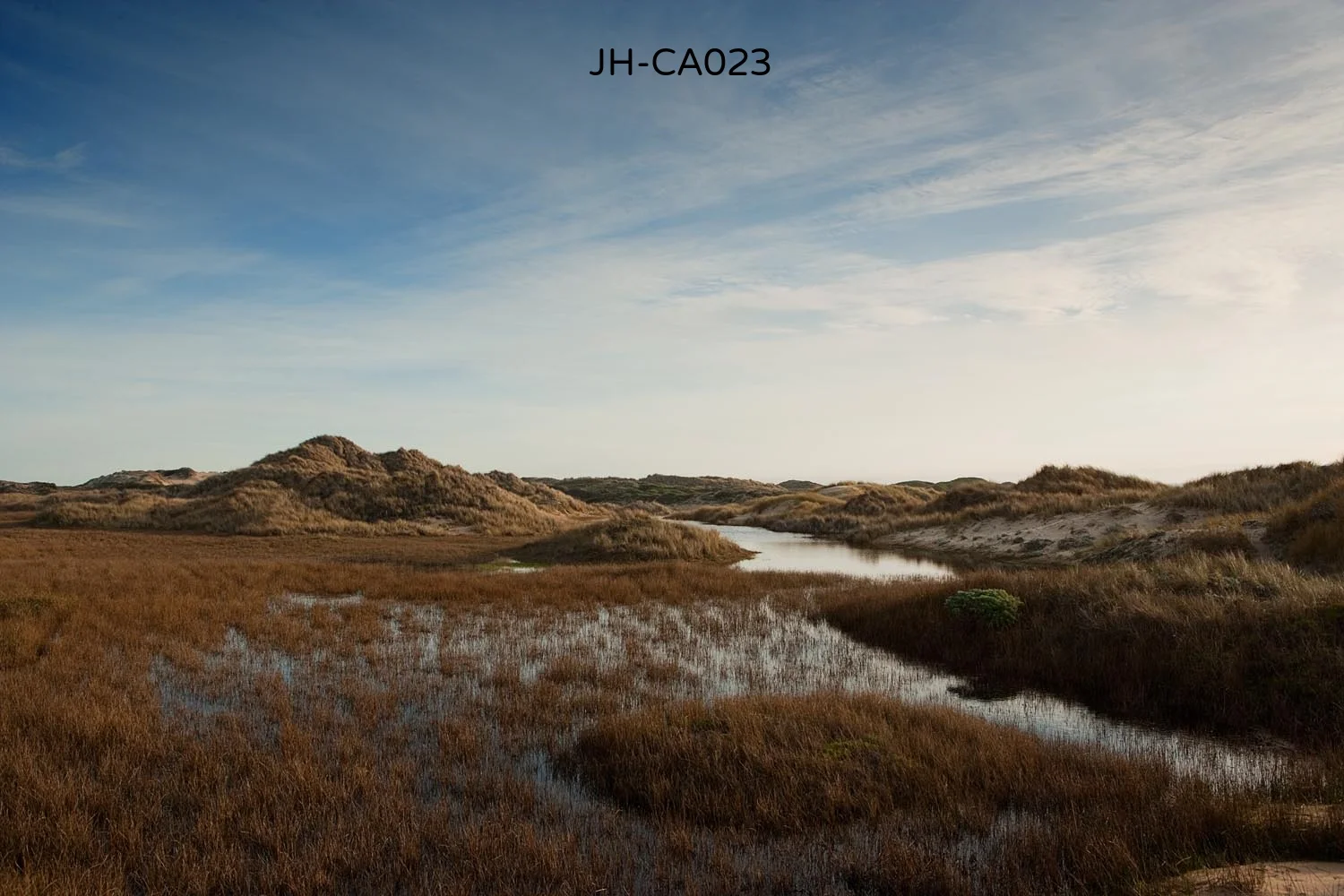 _C3D2905 as Smart Object-1.jpg