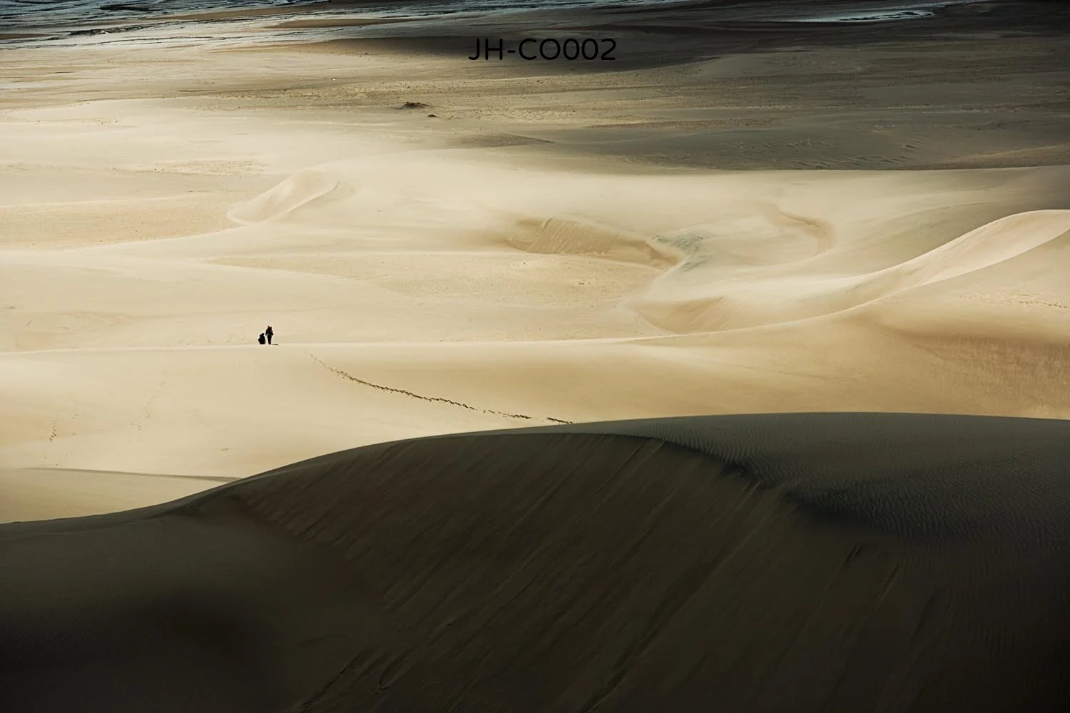 _C3D5295 as Smart Object-1.jpg