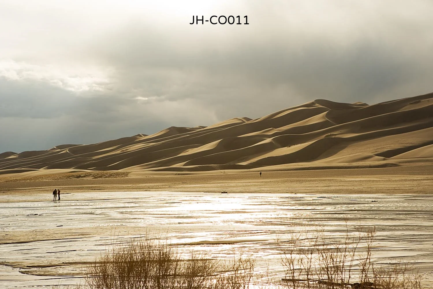 _C3D5335 as Smart Object-1.jpg