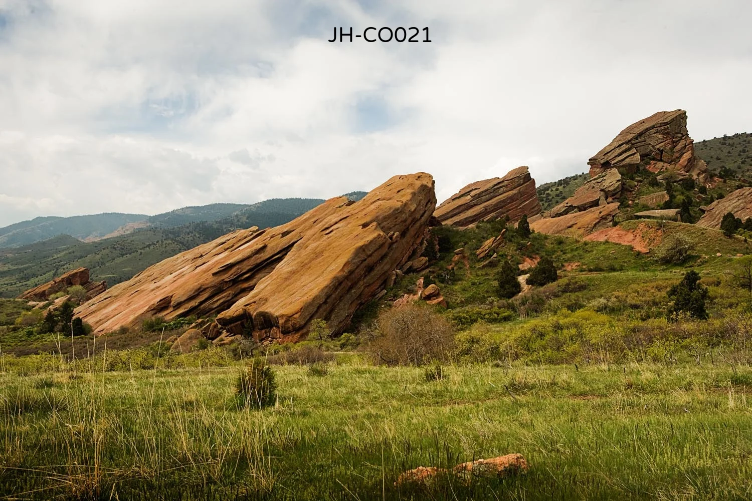 _C3D5602 as Smart Object-1.jpg