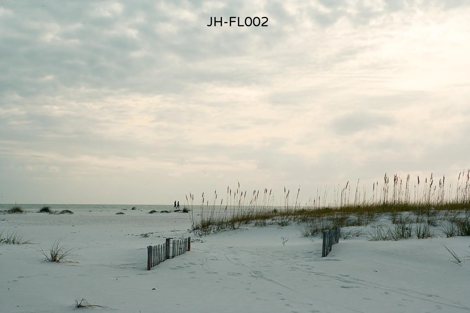 _C3D0285 as Smart Object-1.jpg