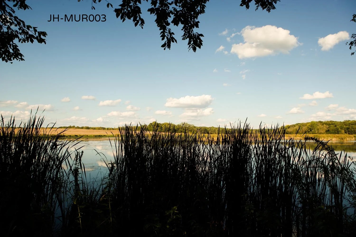 _C3D9839 as Smart Object-1.jpg