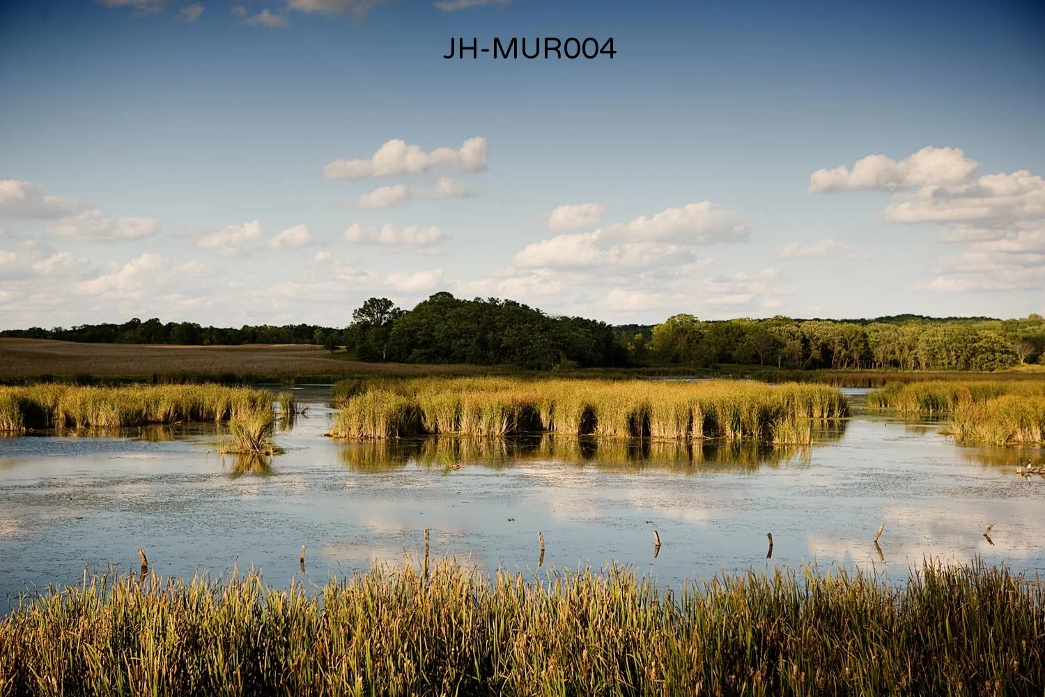_C3D9844 as Smart Object-1.jpg