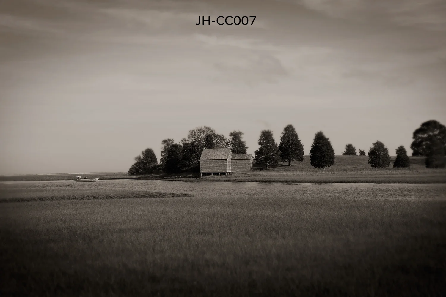 _Y9A3459bw as Smart Object-1.jpg
