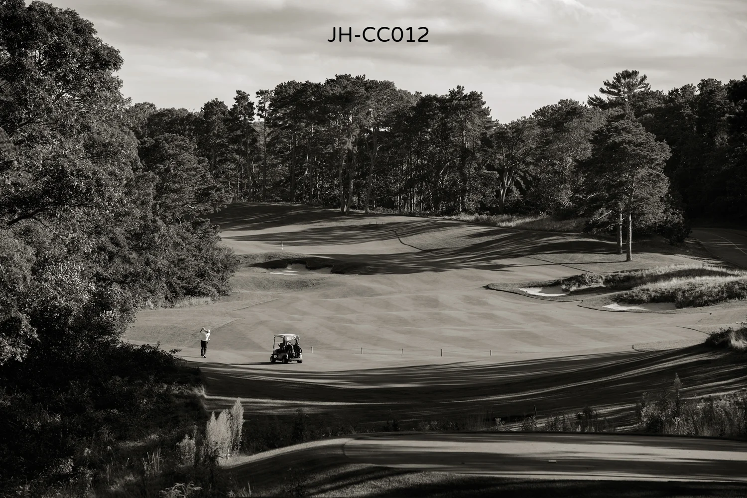 _Y9A3587bw as Smart Object-1.jpg