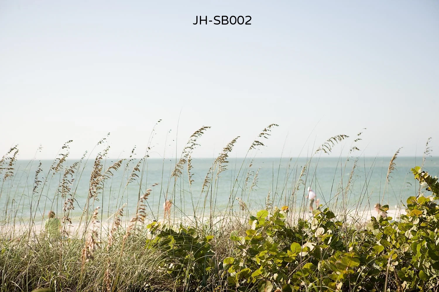 _AC3D3889 as Smart Object-1.jpg