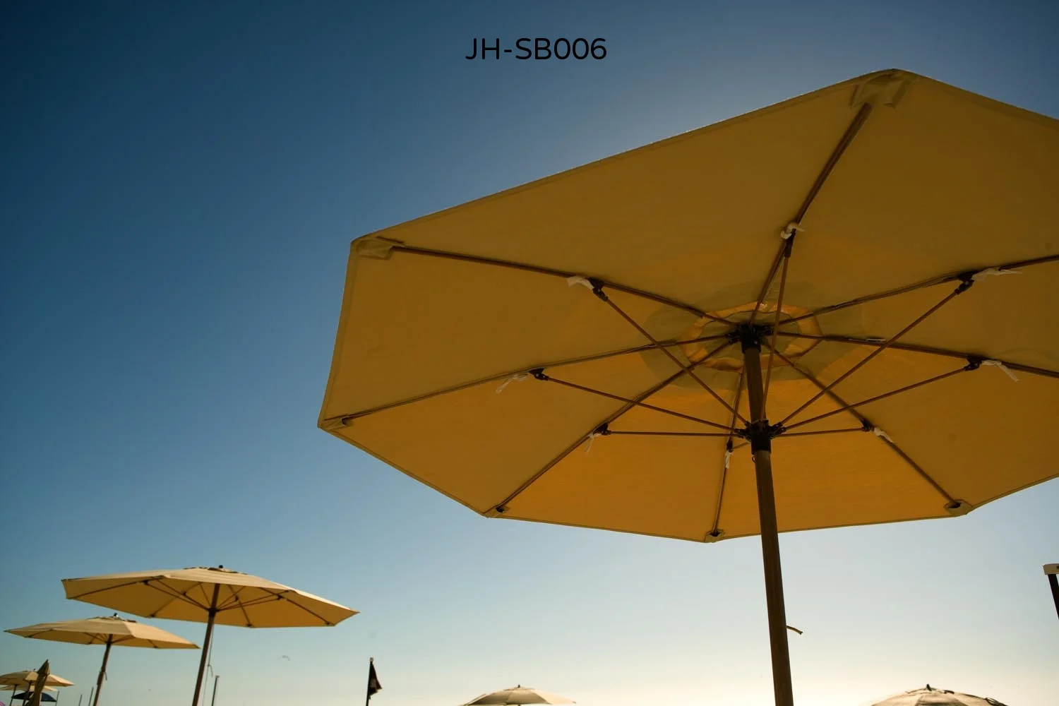 _C3D4012 as Smart Object-1.jpg