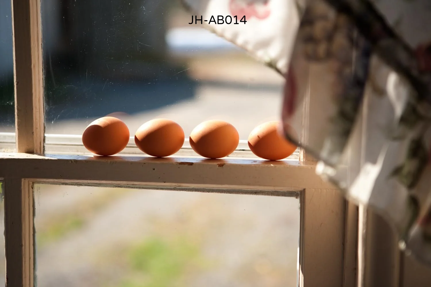 _C3D8568 as Smart Object-1.jpg