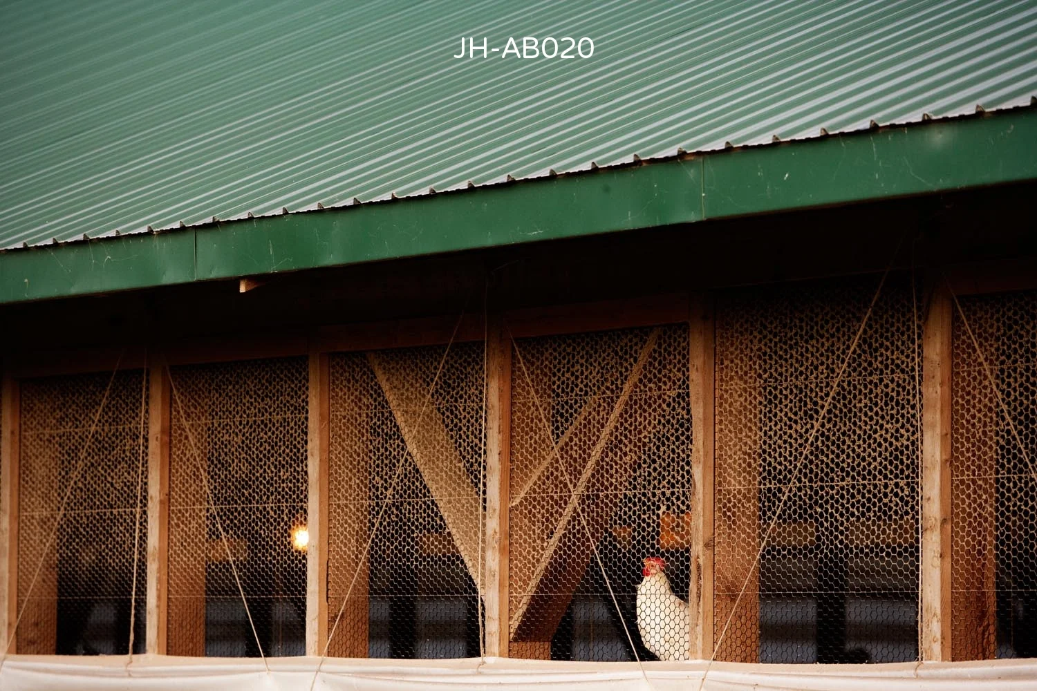 _C3D9126 as Smart Object-1.jpg