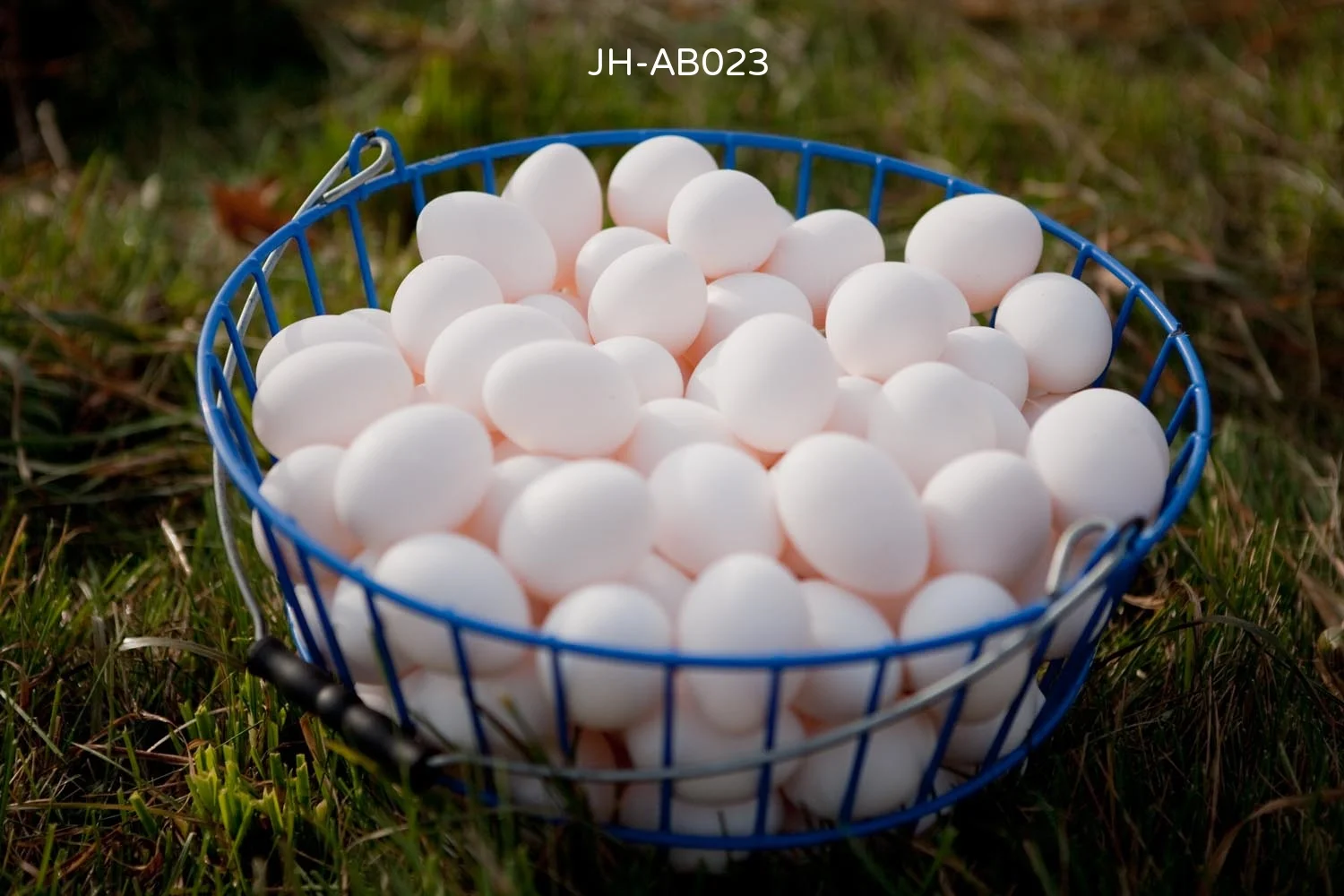 _C3D9217 as Smart Object-1.jpg