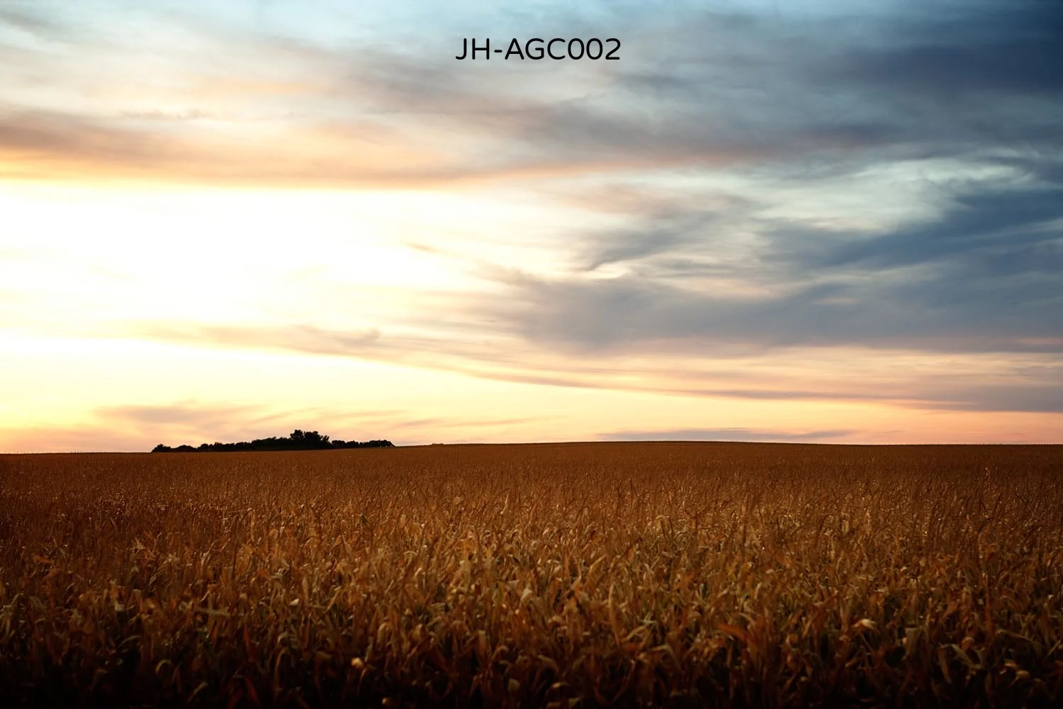 _C3D7311b as Smart Object-1.jpg