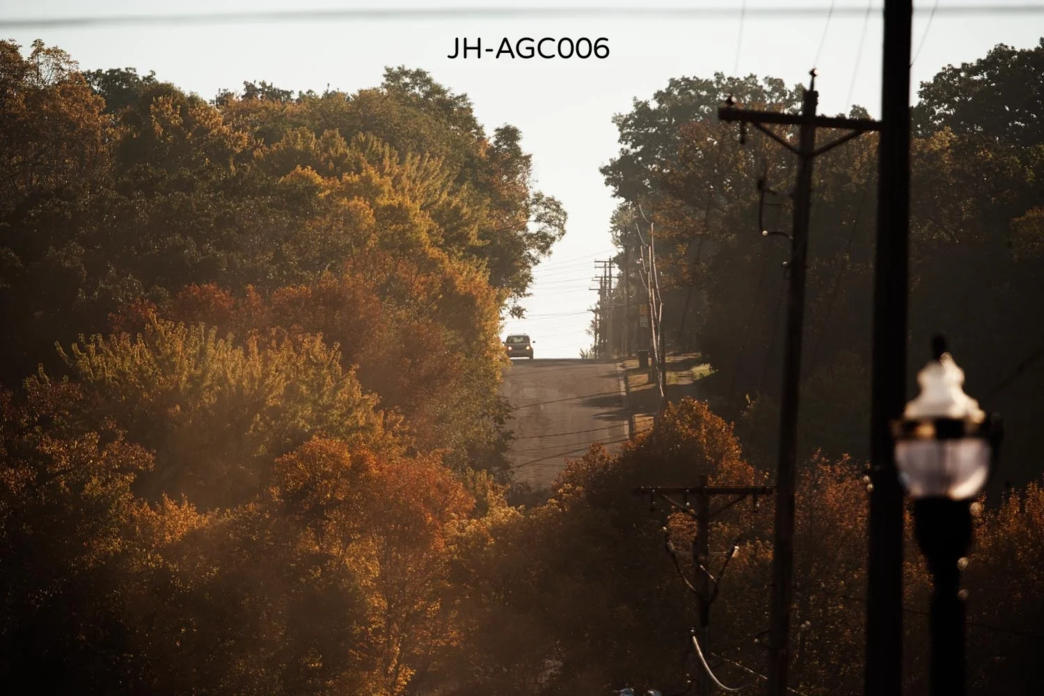 _C3D8163 as Smart Object-1.jpg