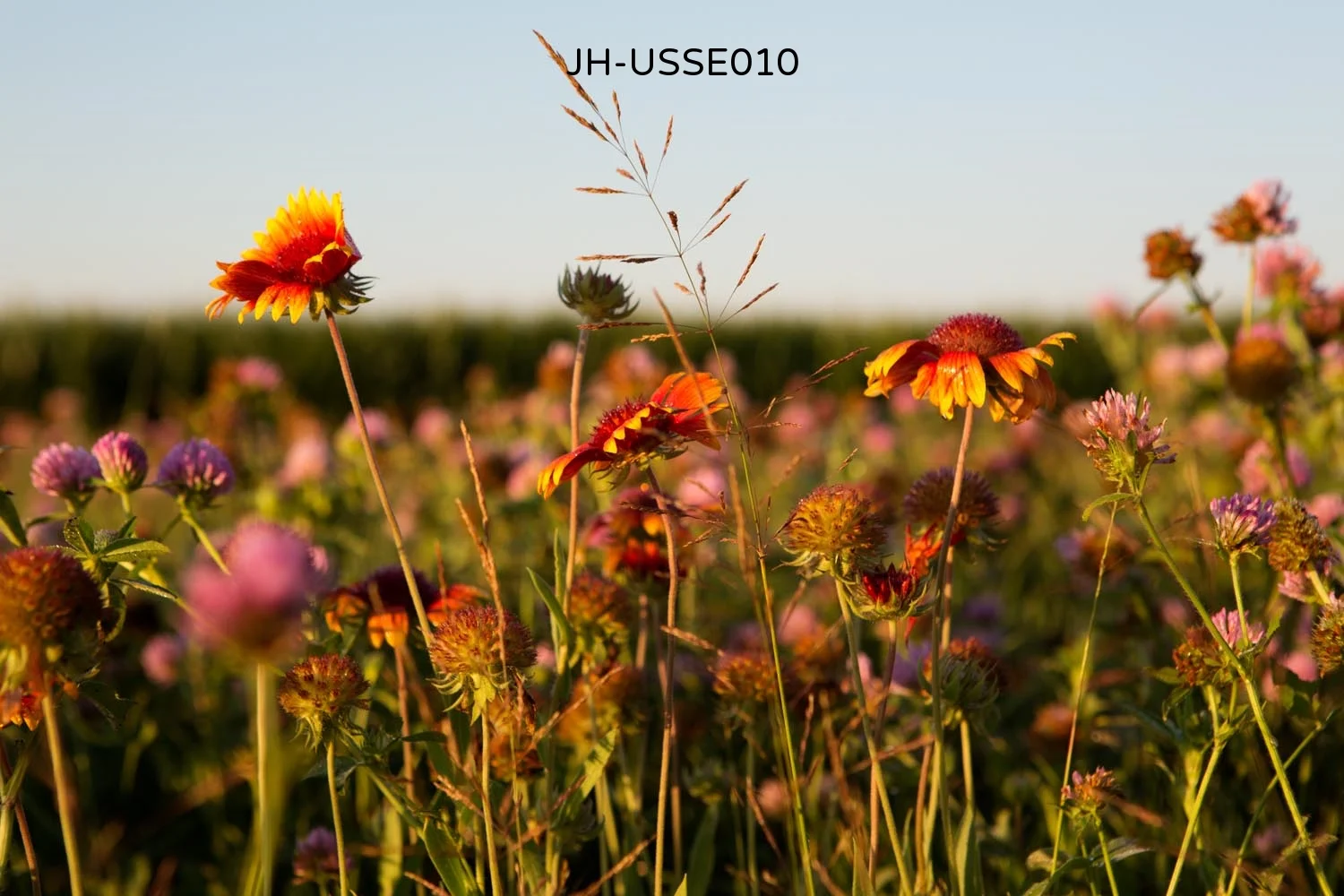 _Y9A6070 as Smart Object-1.jpg