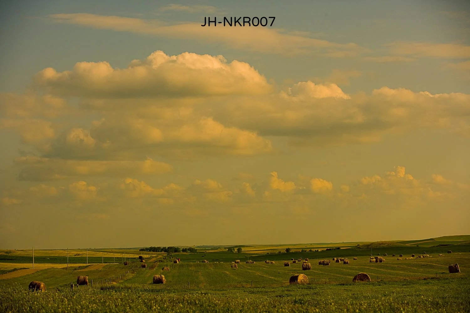_F5N2309 as Smart Object-1.jpg