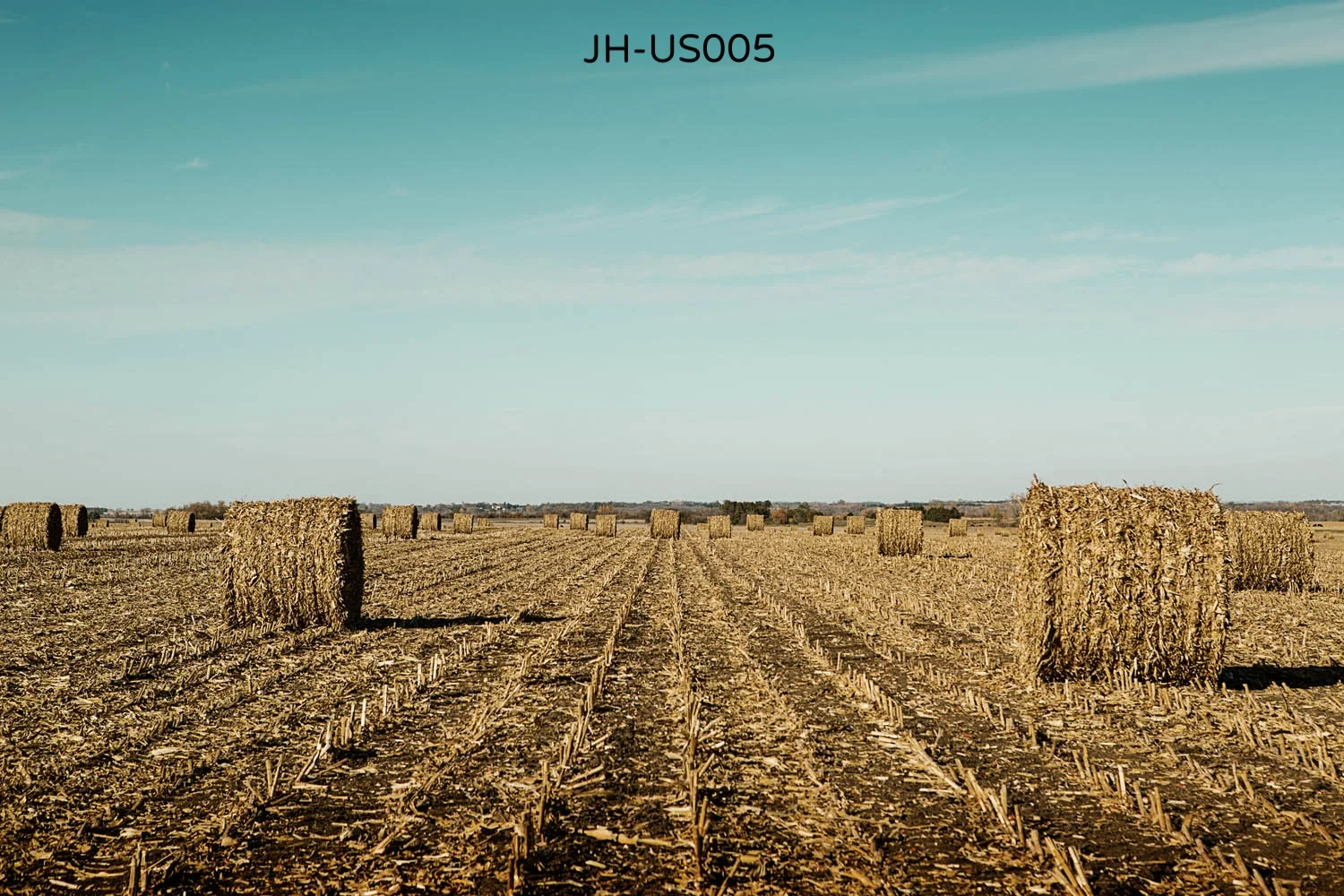 _V9A0748 as Smart Object-1.jpg