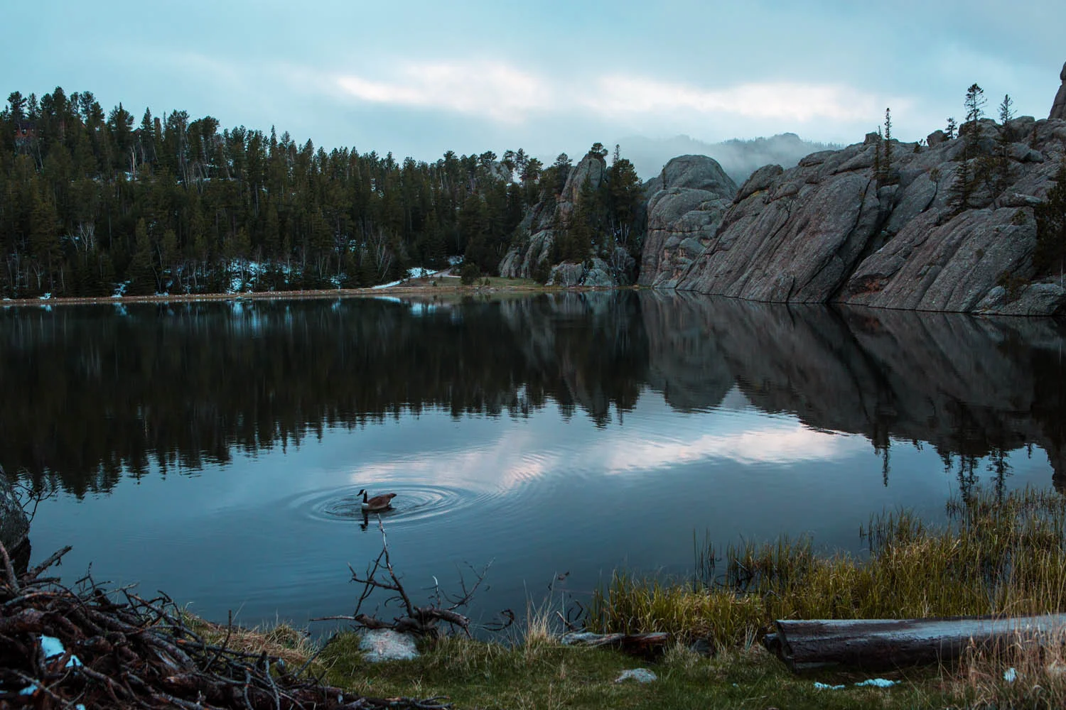 _V9A6301 as Smart Object-1.jpg