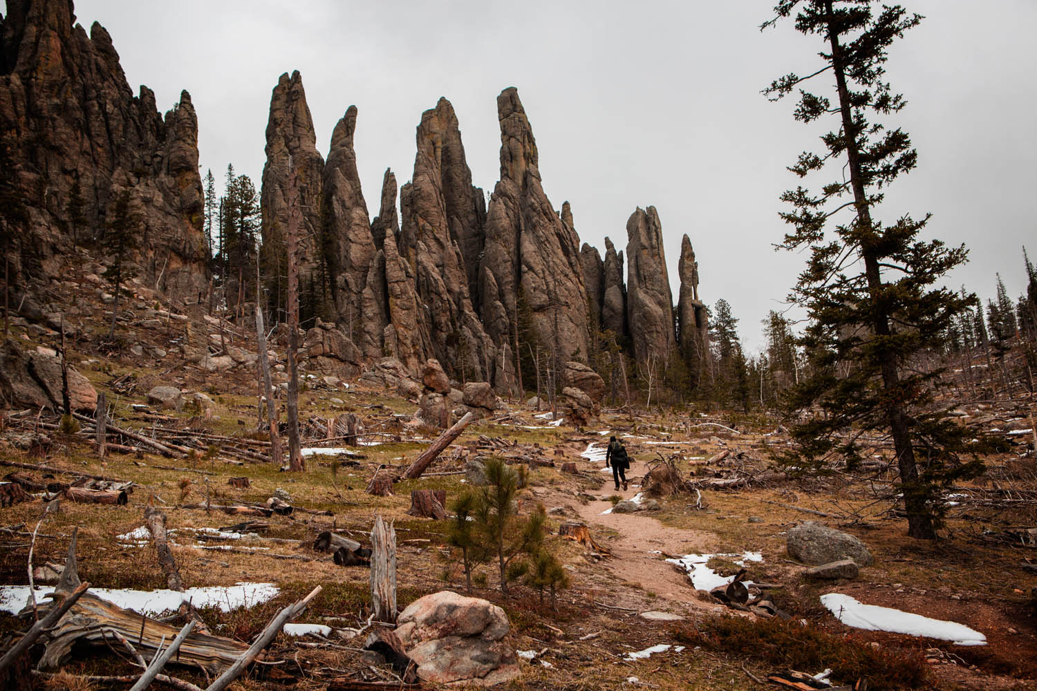 _V9A6384 as Smart Object-1.jpg