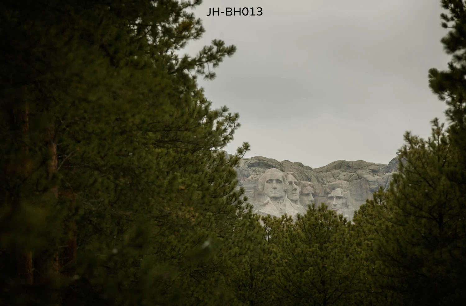 _V9A6415crp as Smart Object-1.jpg