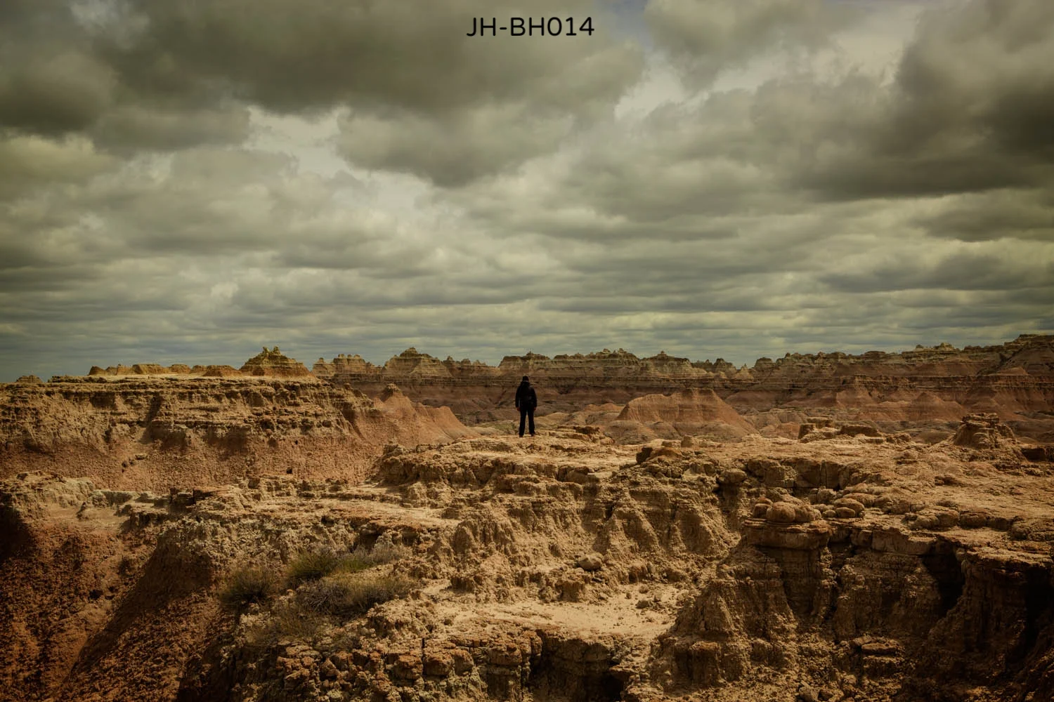 _V9A6521 as Smart Object-1.jpg