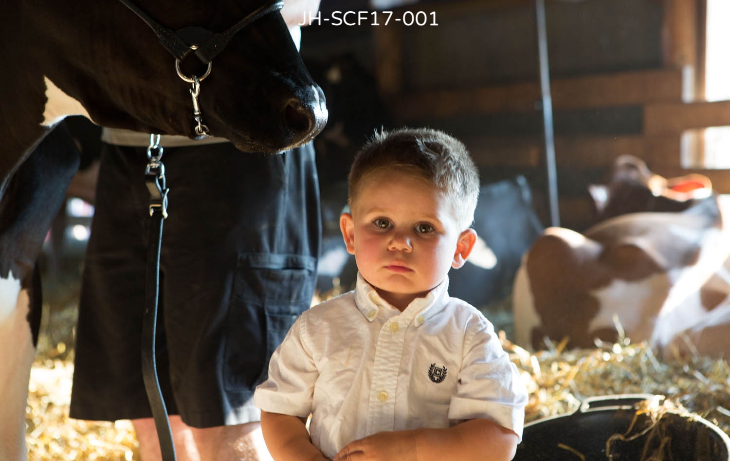_V9A9810crp as Smart Object-1.jpg