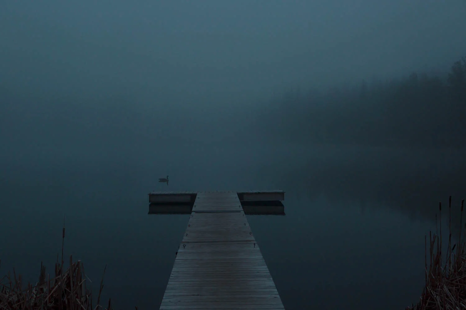 _V9A6350 as Smart Object-1.jpg