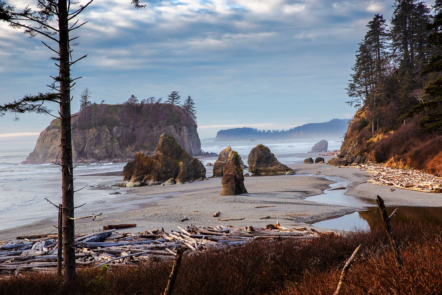 _V9A6589-1.jpg