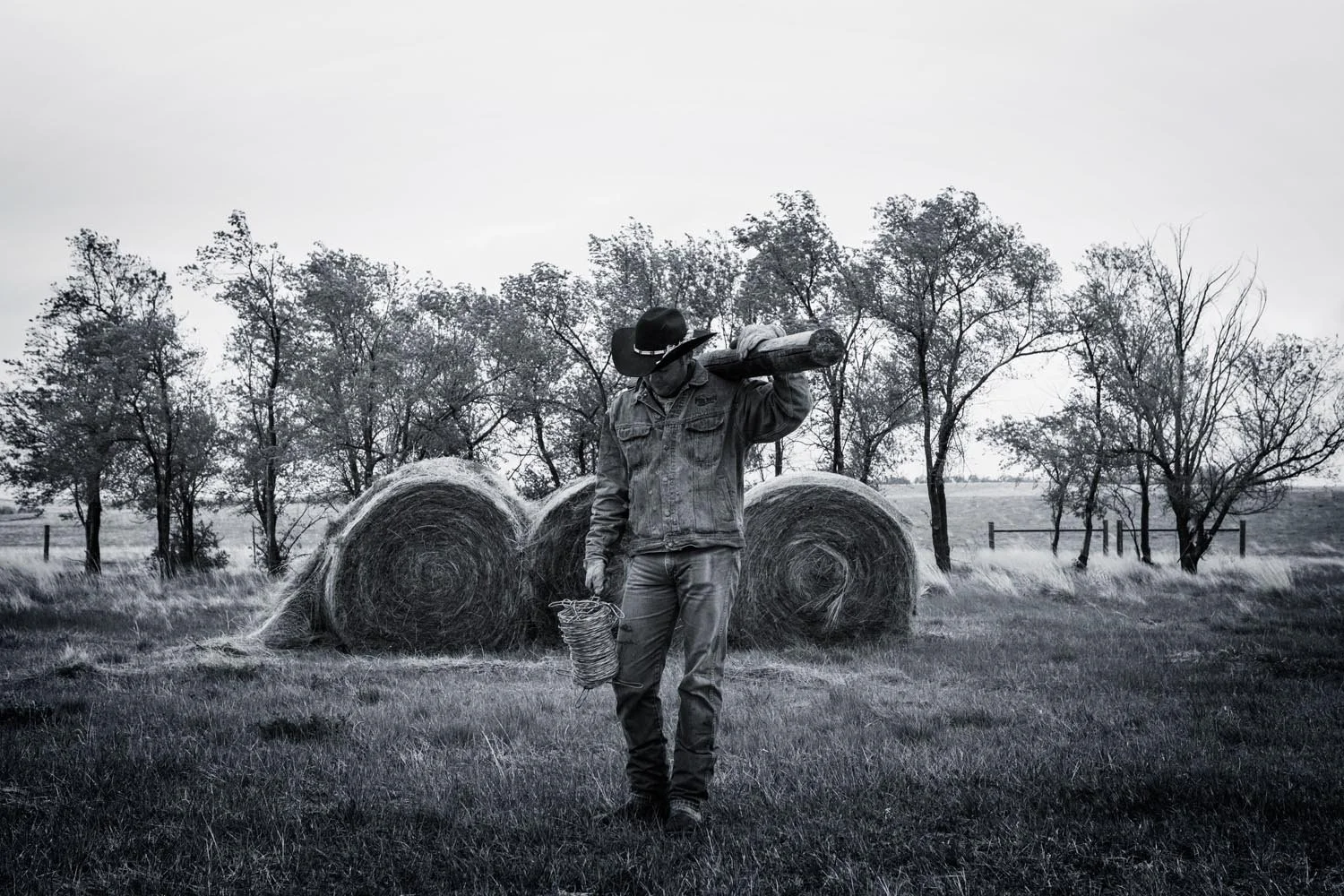 _V9A8082b as Smart Object-1.jpg