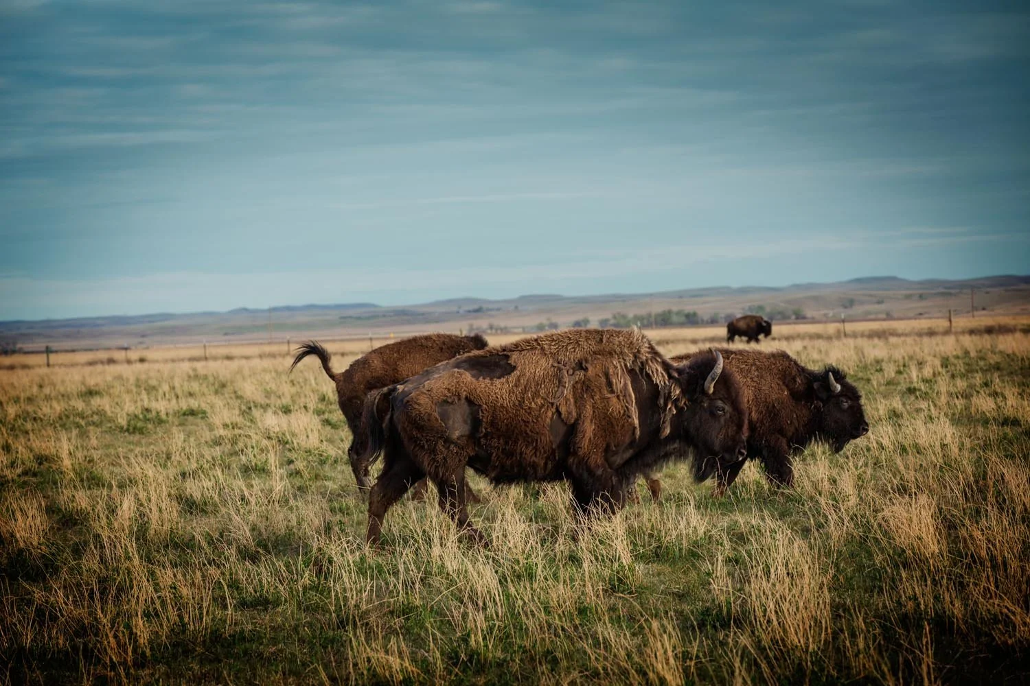 _Y9A9216 as Smart Object-1.jpg