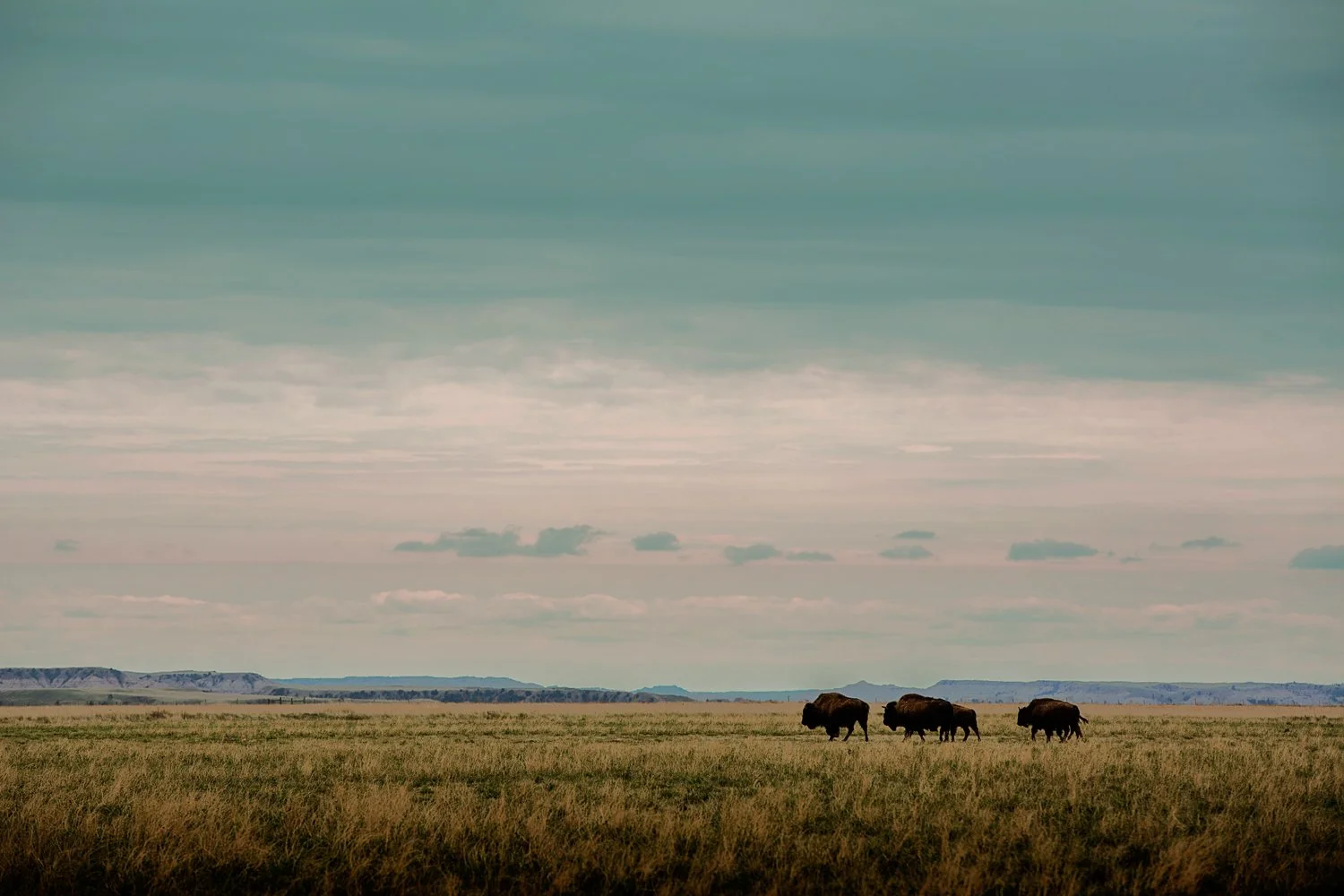 _Y9A9579C as Smart Object-1.jpg