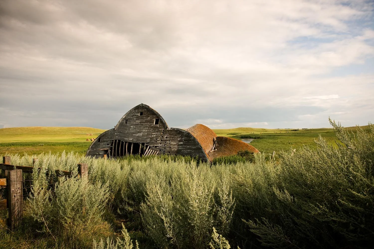 _F5N2578 as Smart Object-1.jpg