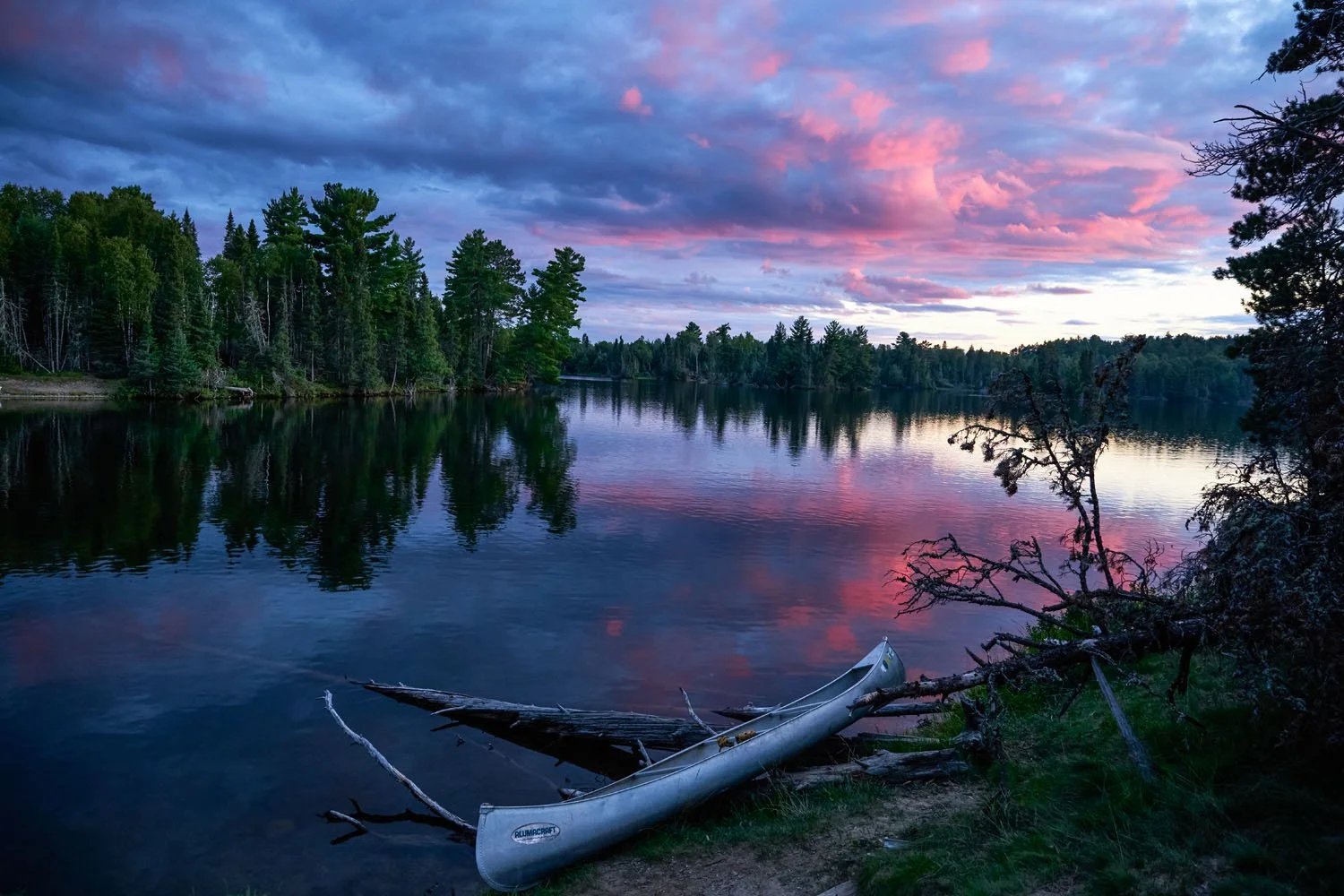 0Y4A0971 1-1.jpg