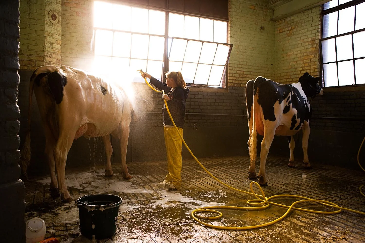 _F5N2876 as Smart Object-1.jpg