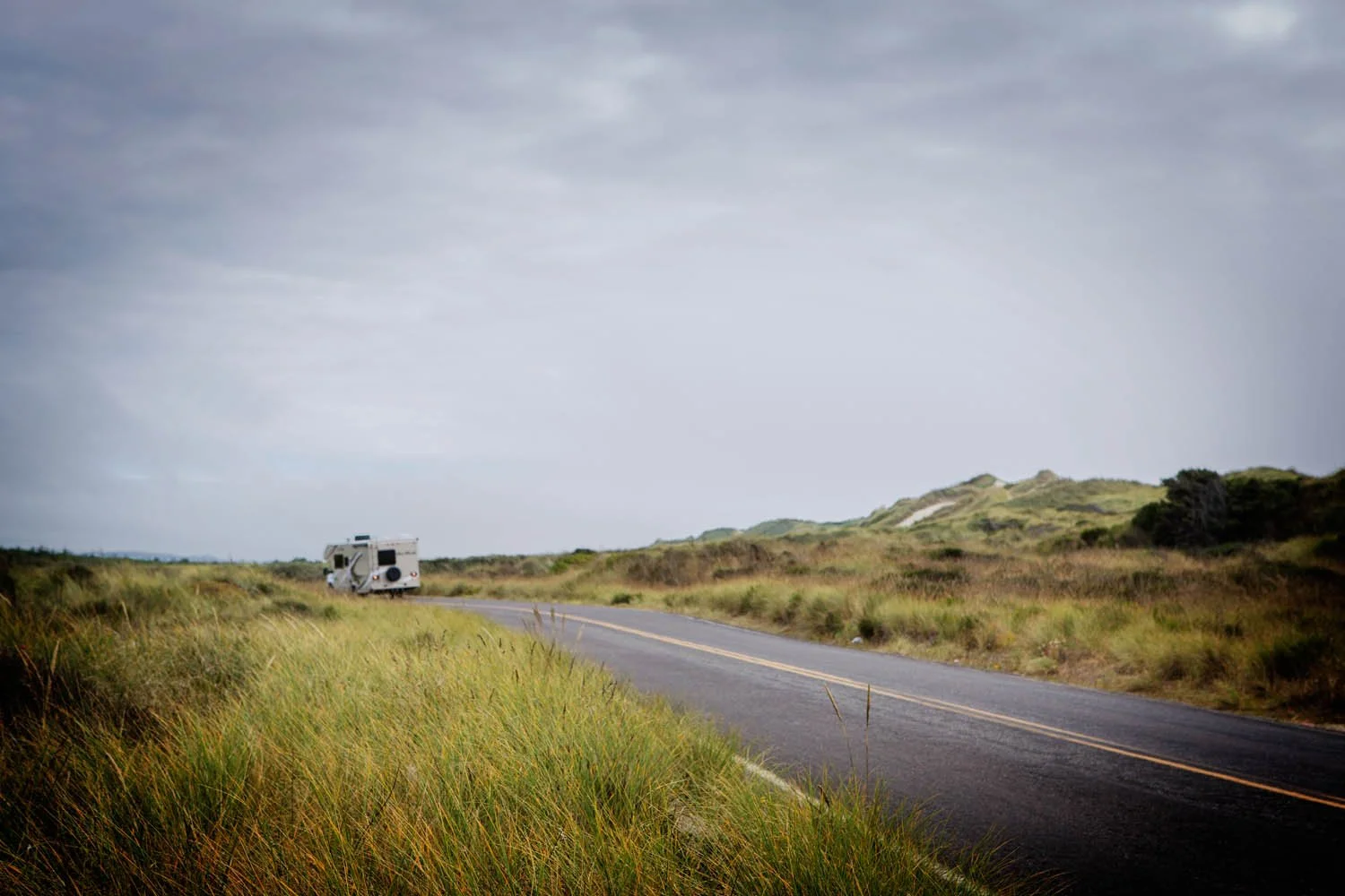 _V9A8689 as Smart Object-1_1.jpg