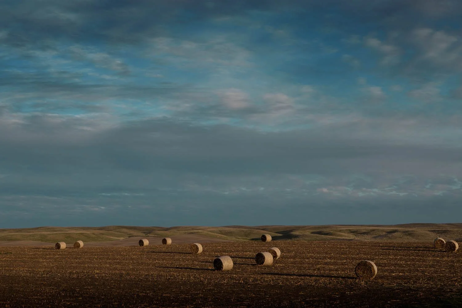 _V9A6584 as Smart Object-1.jpg