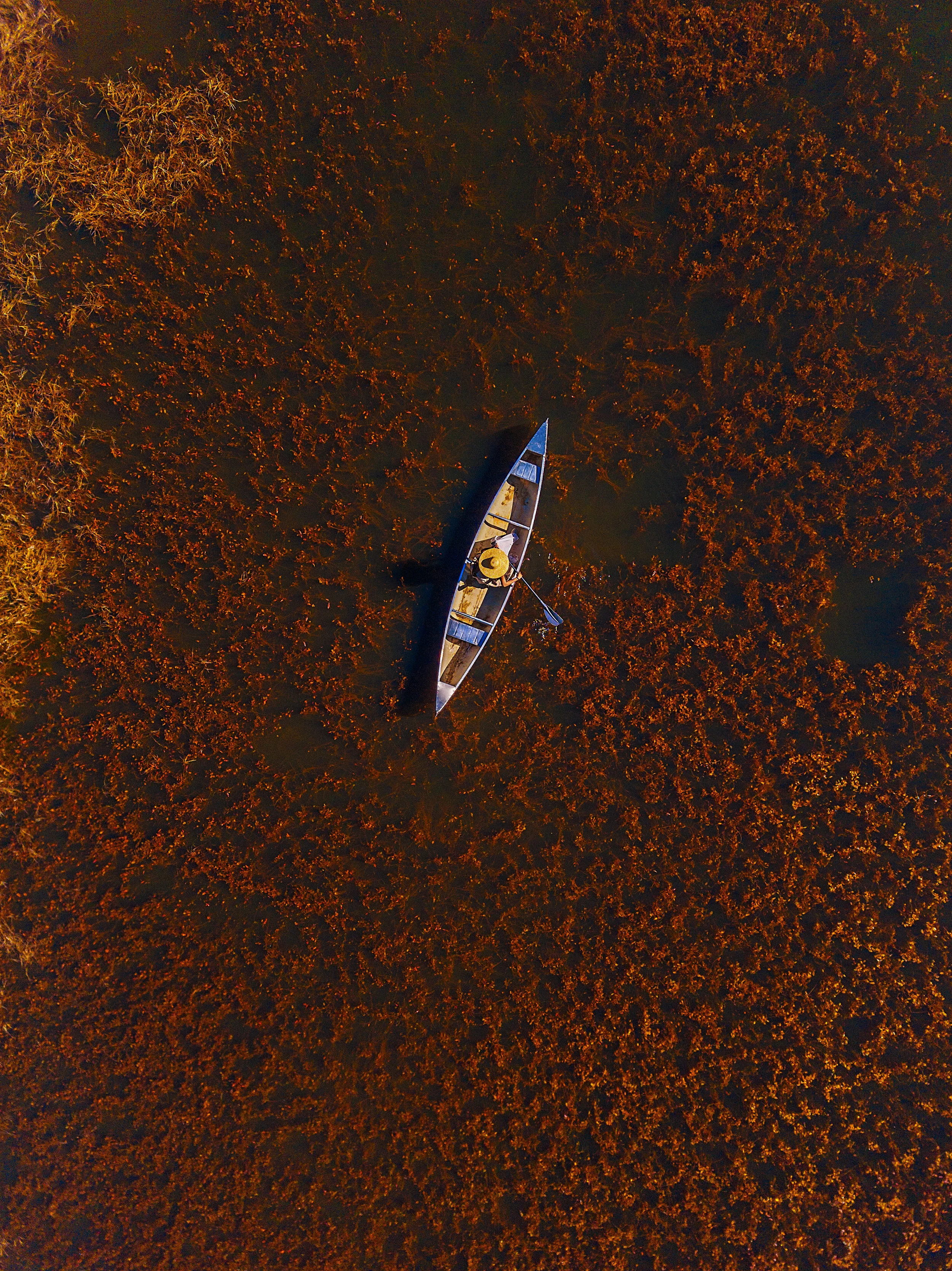 DJI_0224.jpg