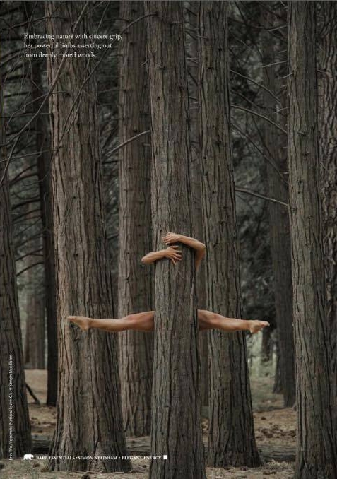tree hug.jpg