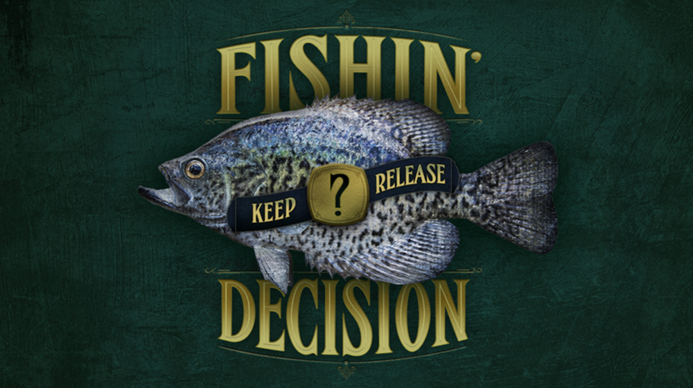 Fishin' Decision