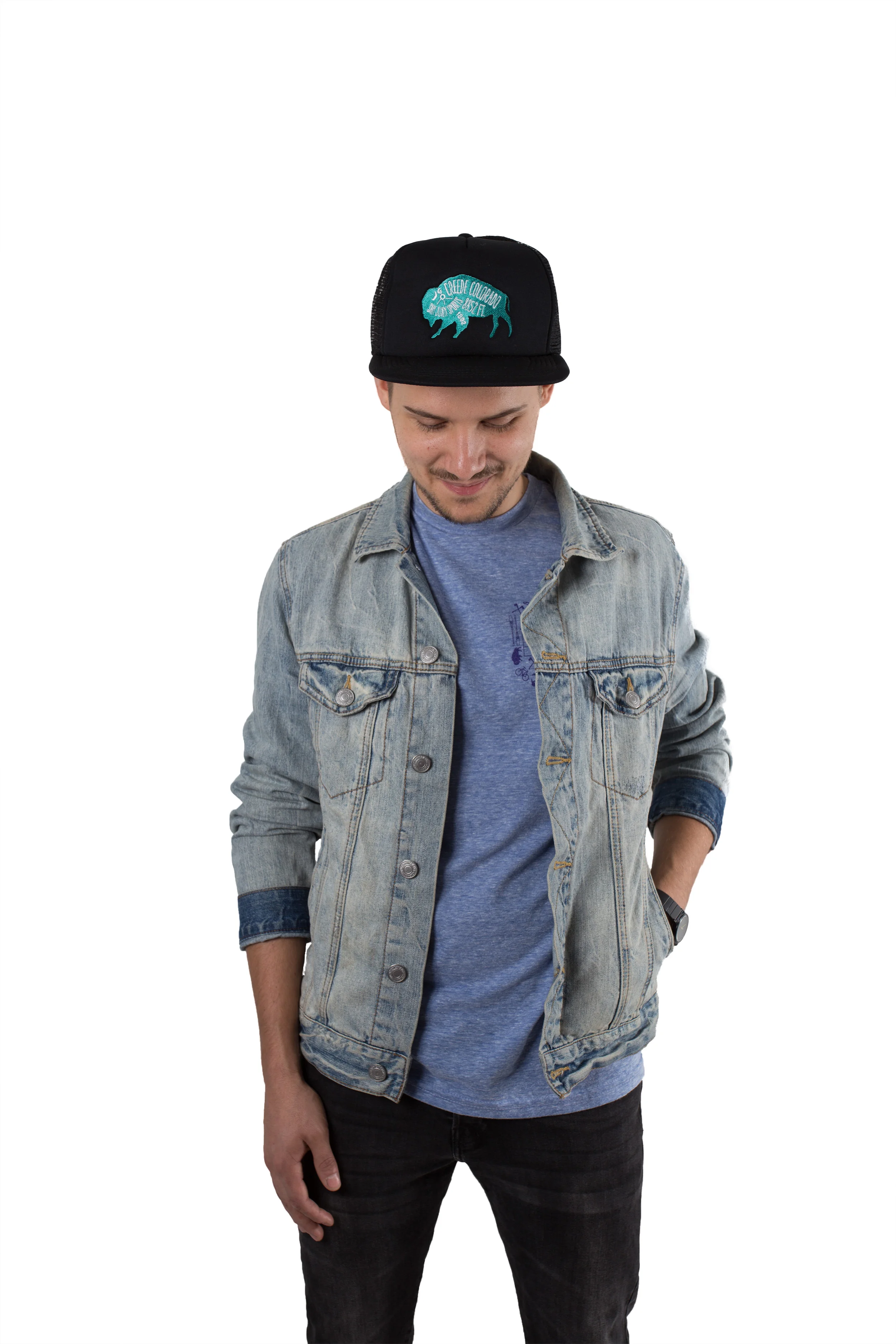  W  HITFORT &nbsp;Designs 