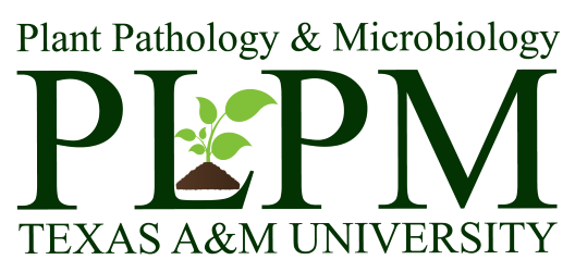 PLPM_logo.png