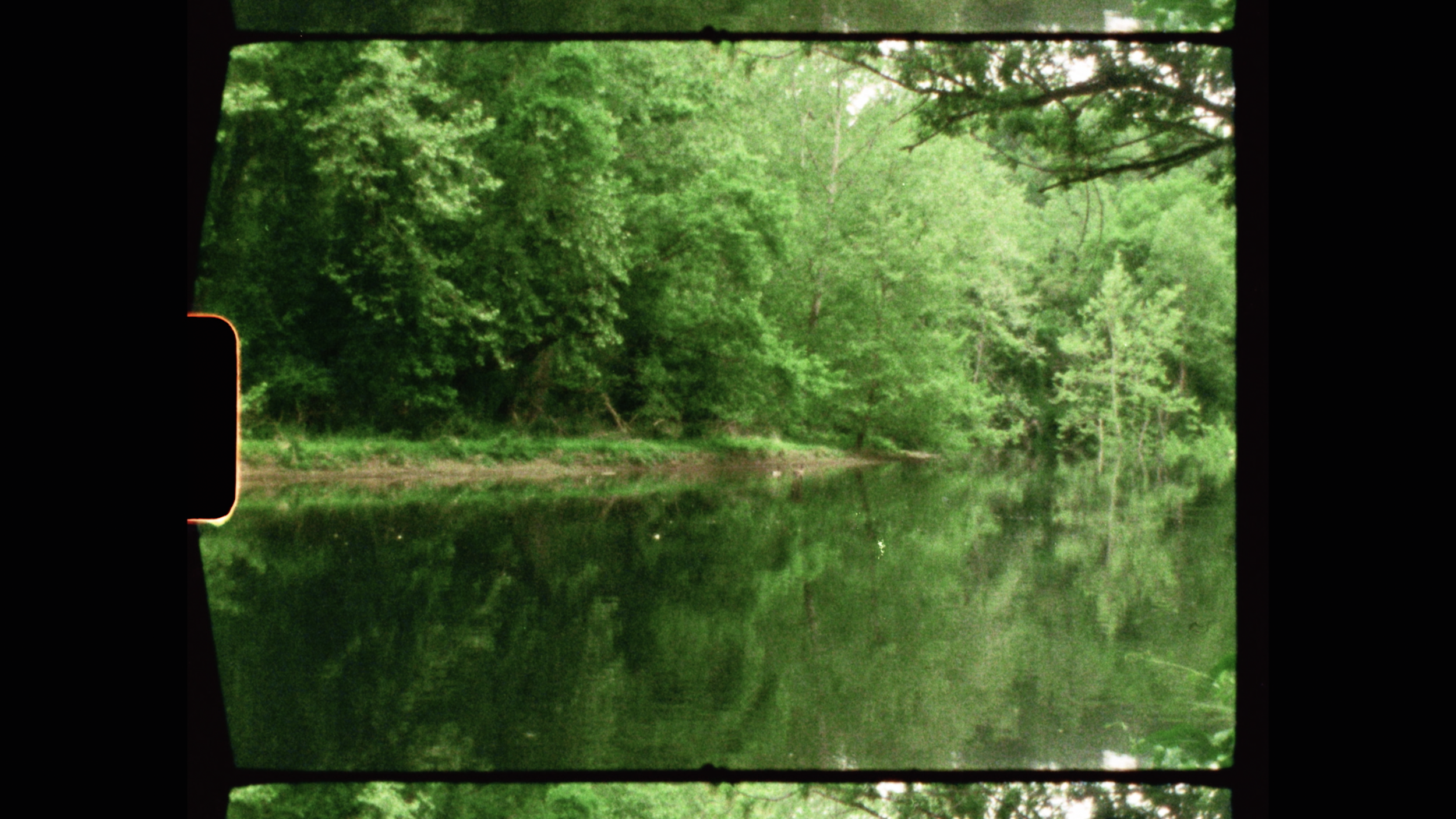 Screenshot 2024-06-07 at 8.14.14 AM.PNG