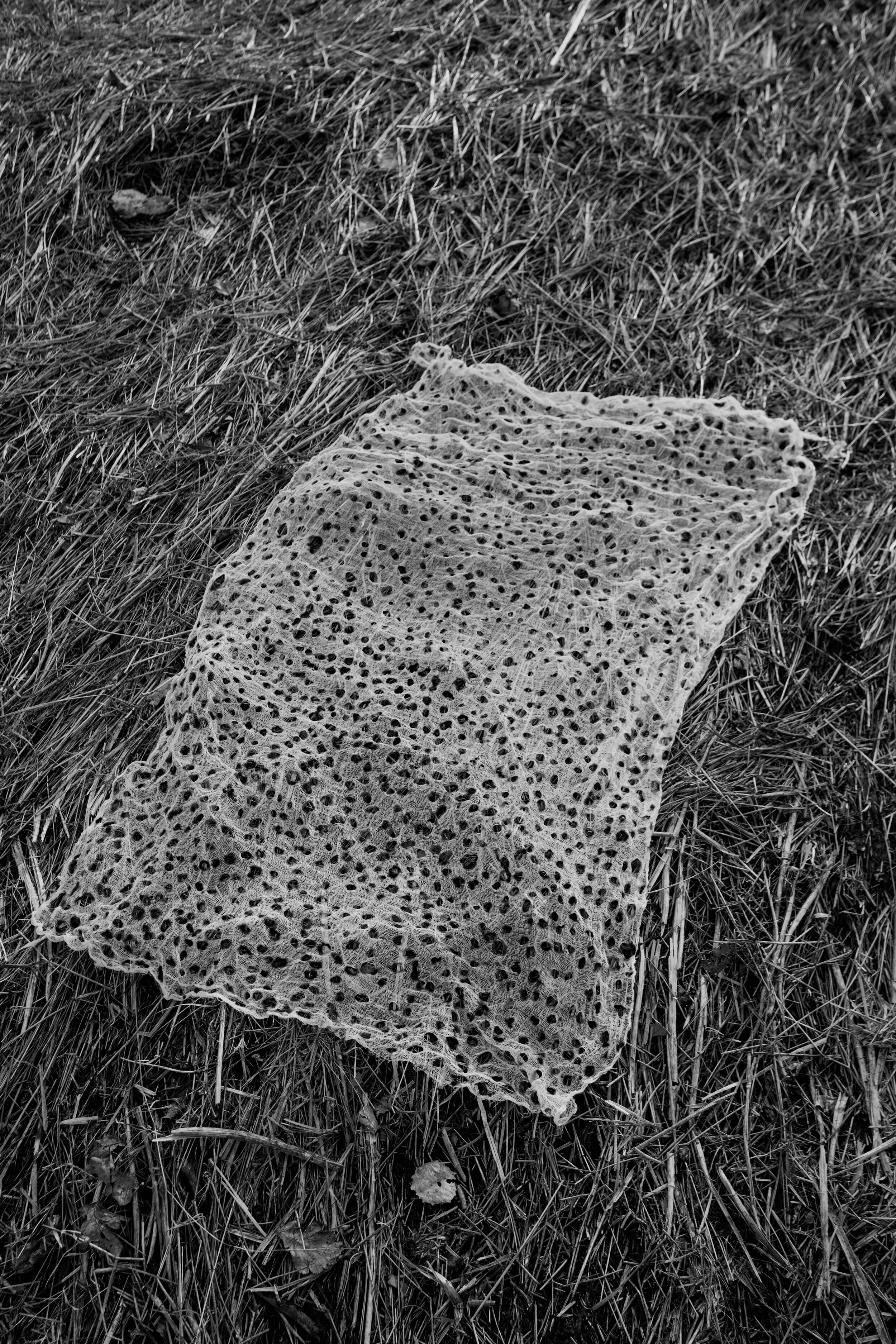 DSCF0584-1.jpg