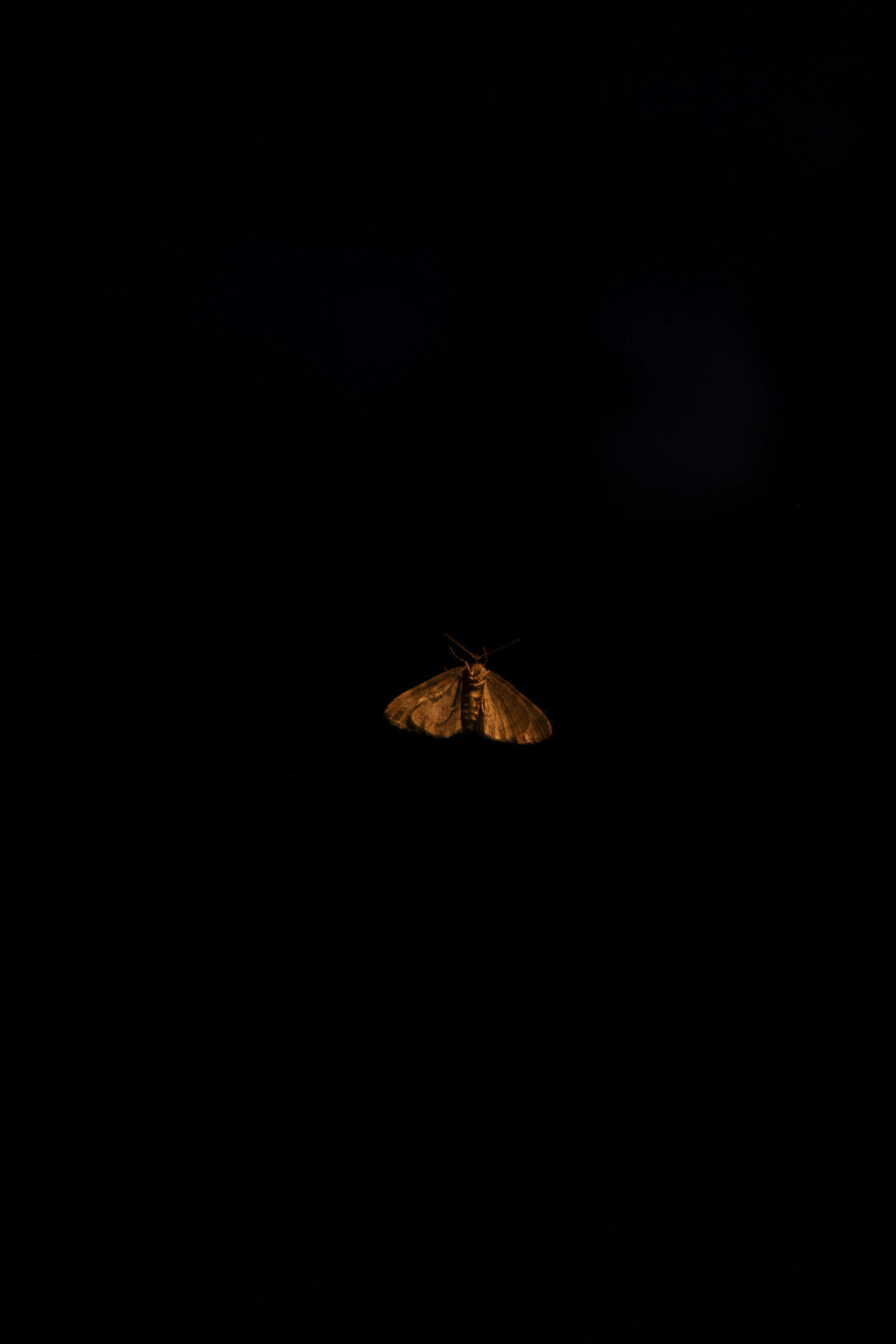 DSCF6090.jpg