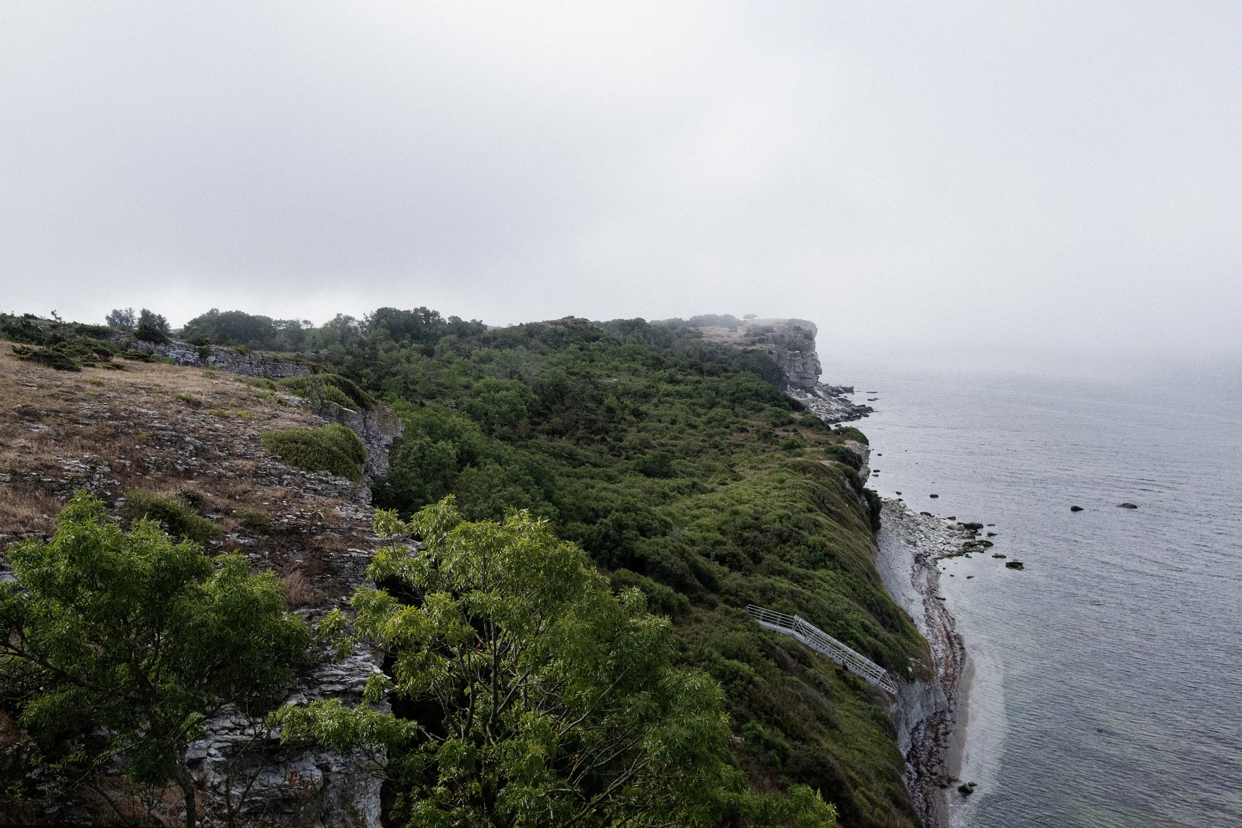 DSCF4952.jpg