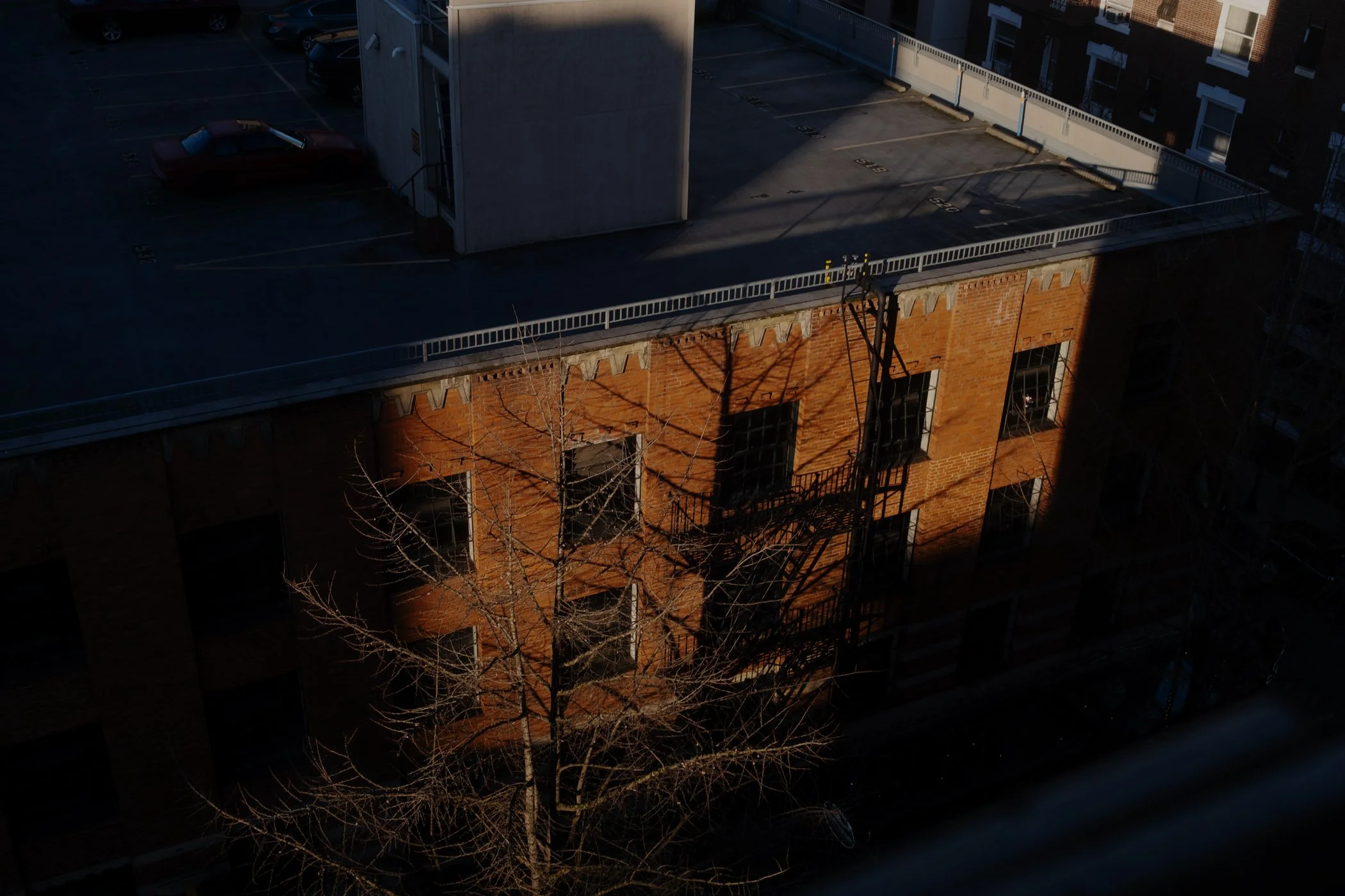 DSCF2619-1.jpg