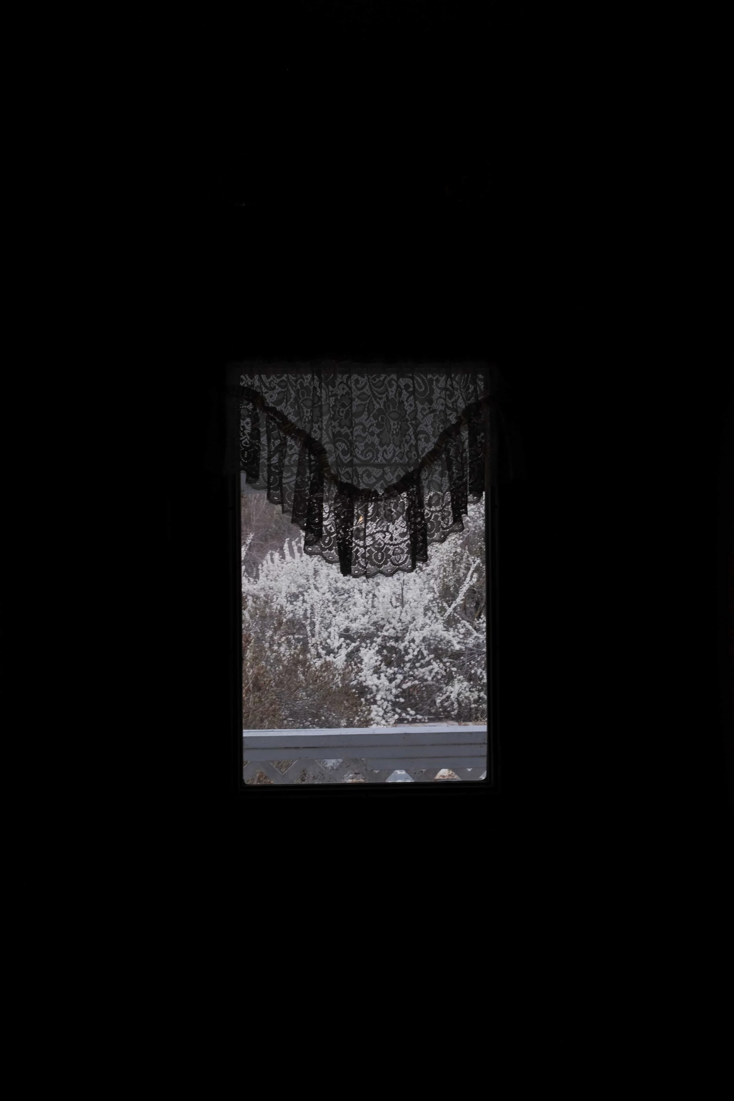 DSCF3538-t.jpg