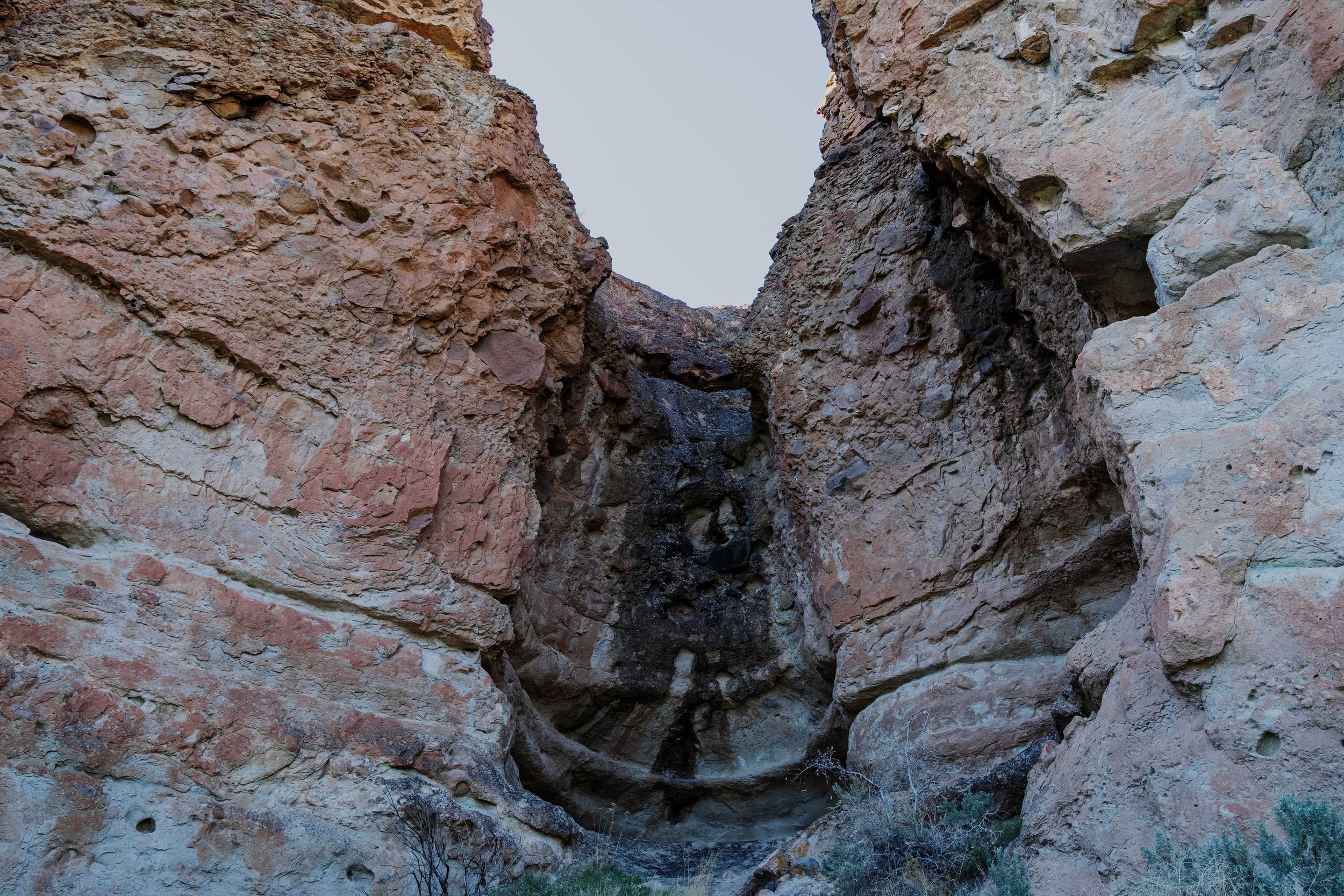 DSCF0603-t.jpg