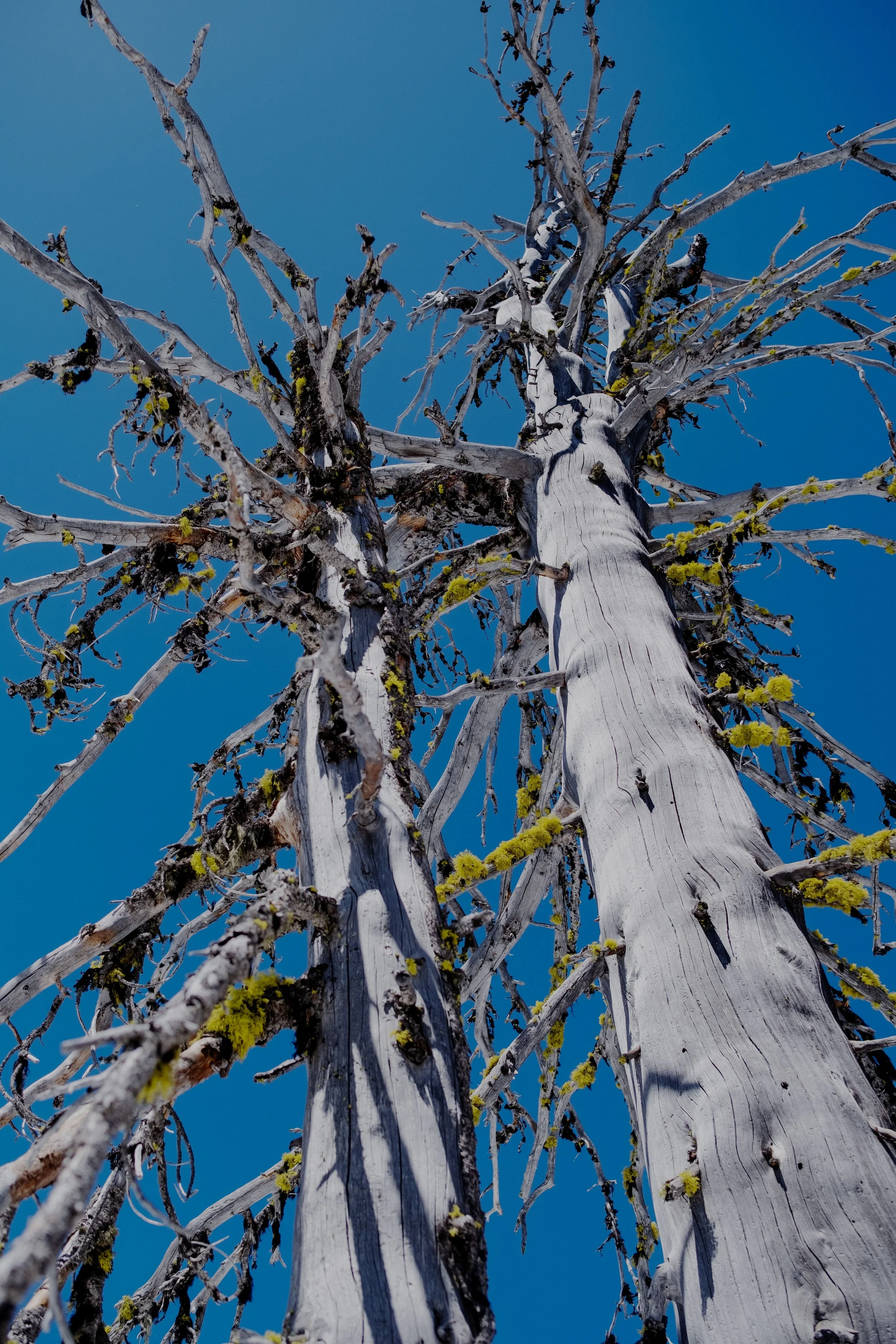 DSCF1900-t.jpg