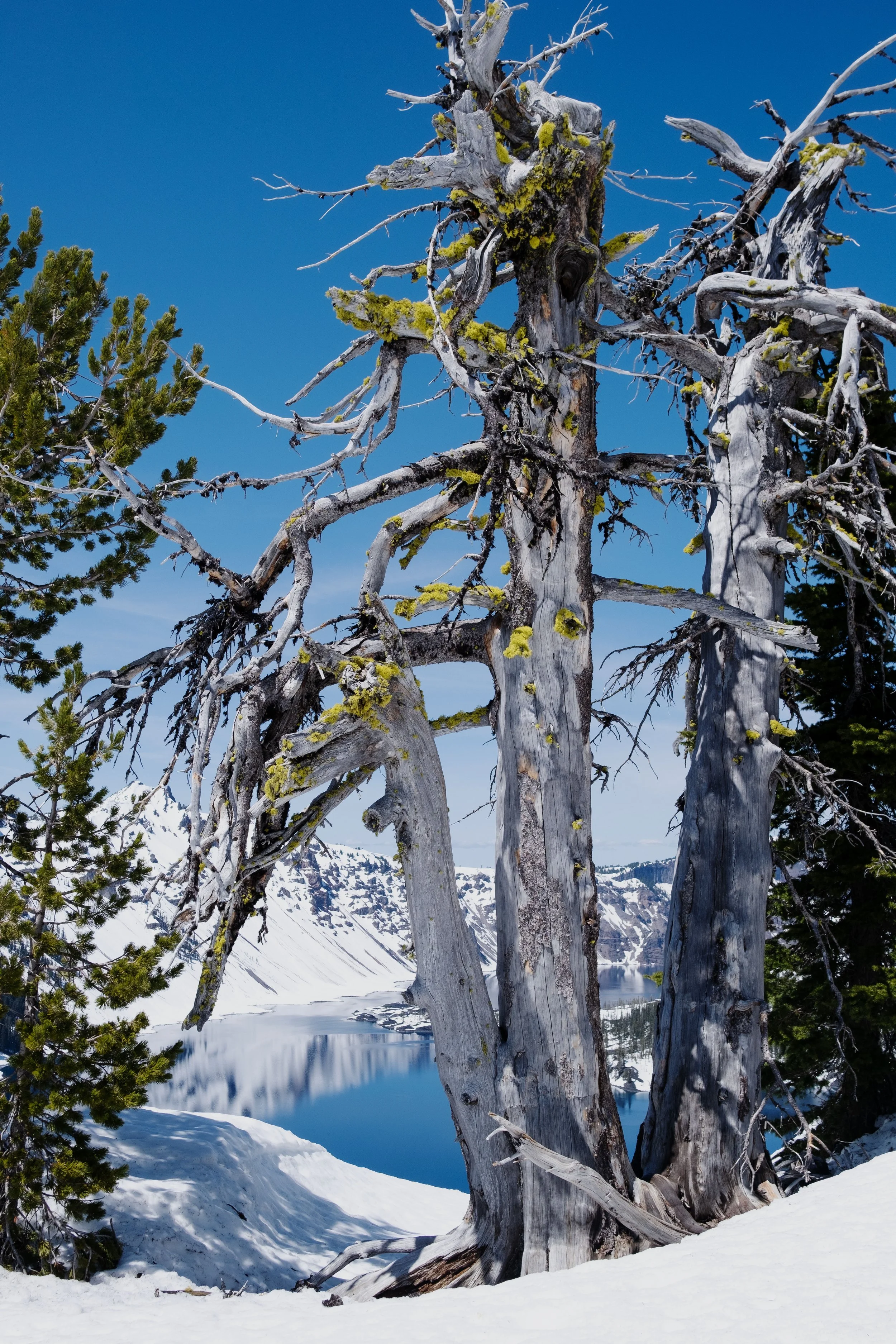 DSCF1940-t.jpg